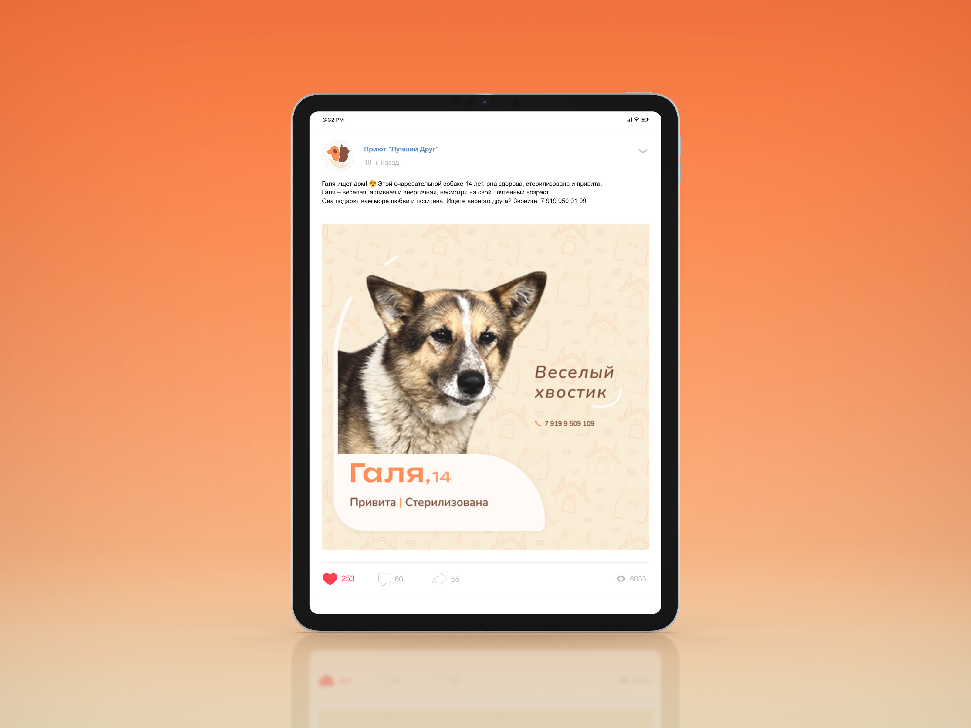 Сorporate identity animal shelter — Изображение №6 — Брендинг на Dprofile