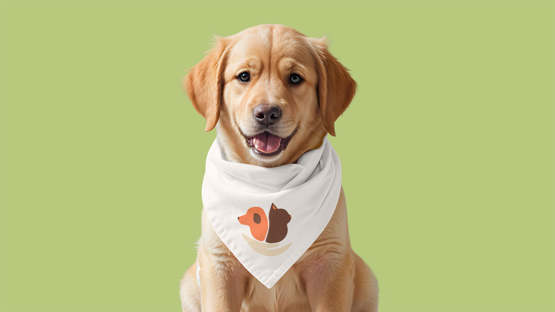 Сorporate identity animal shelter — Изображение №1 — Брендинг на Dprofile