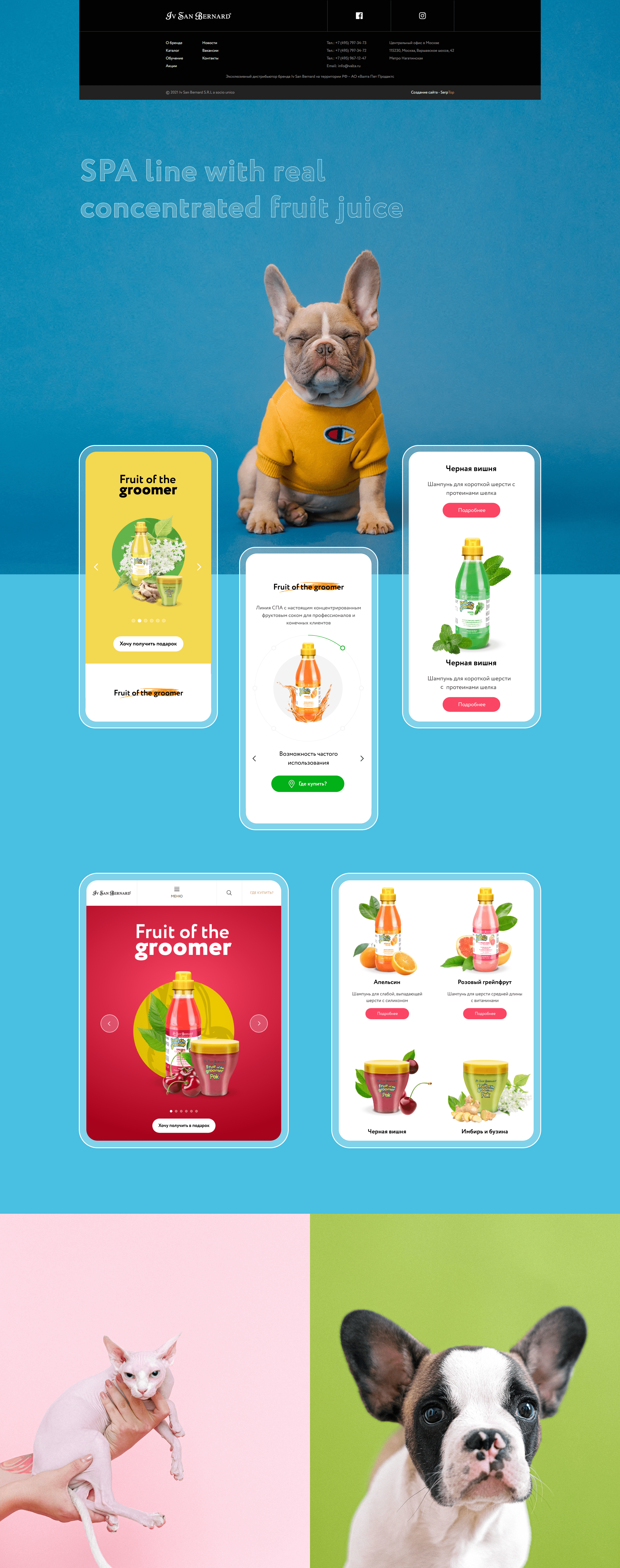 Fruit of the groomer — Изображение №7 — Интерфейсы на Dprofile