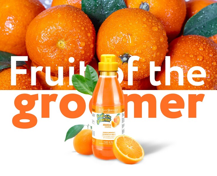 Fruit of the groomer — Интерфейсы на Dprofile