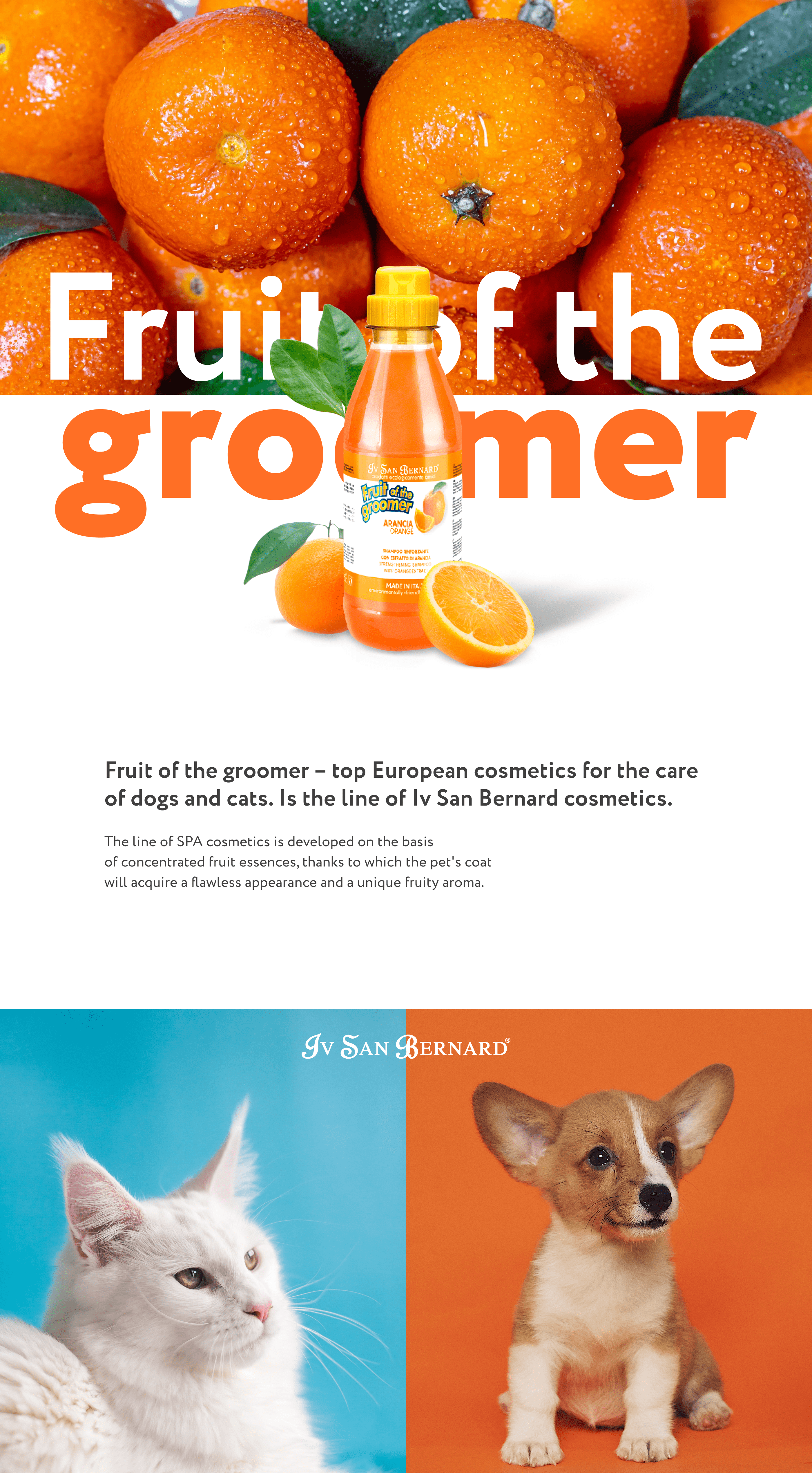 Fruit of the groomer — Изображение №1 — Интерфейсы на Dprofile