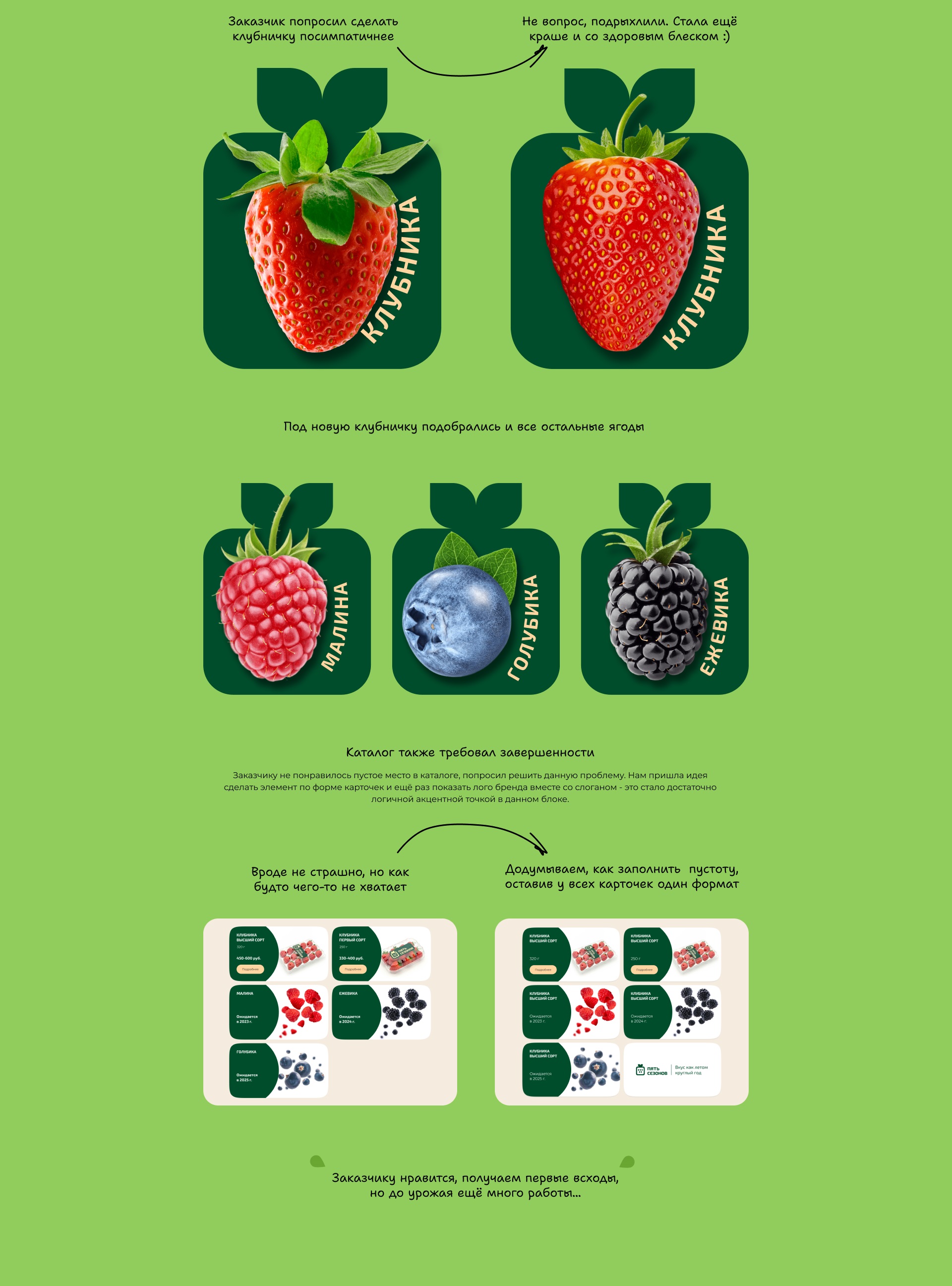Производство и поставки ягод | Landing page — Изображение №9 — Интерфейсы на Dprofile