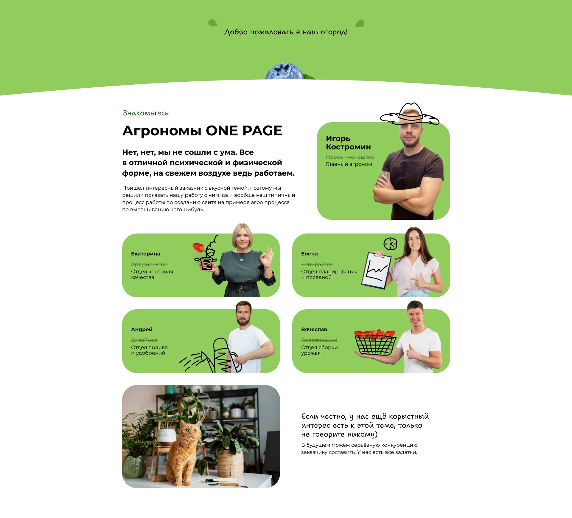 Производство и поставки ягод | Landing page — Изображение №2 — Интерфейсы на Dprofile