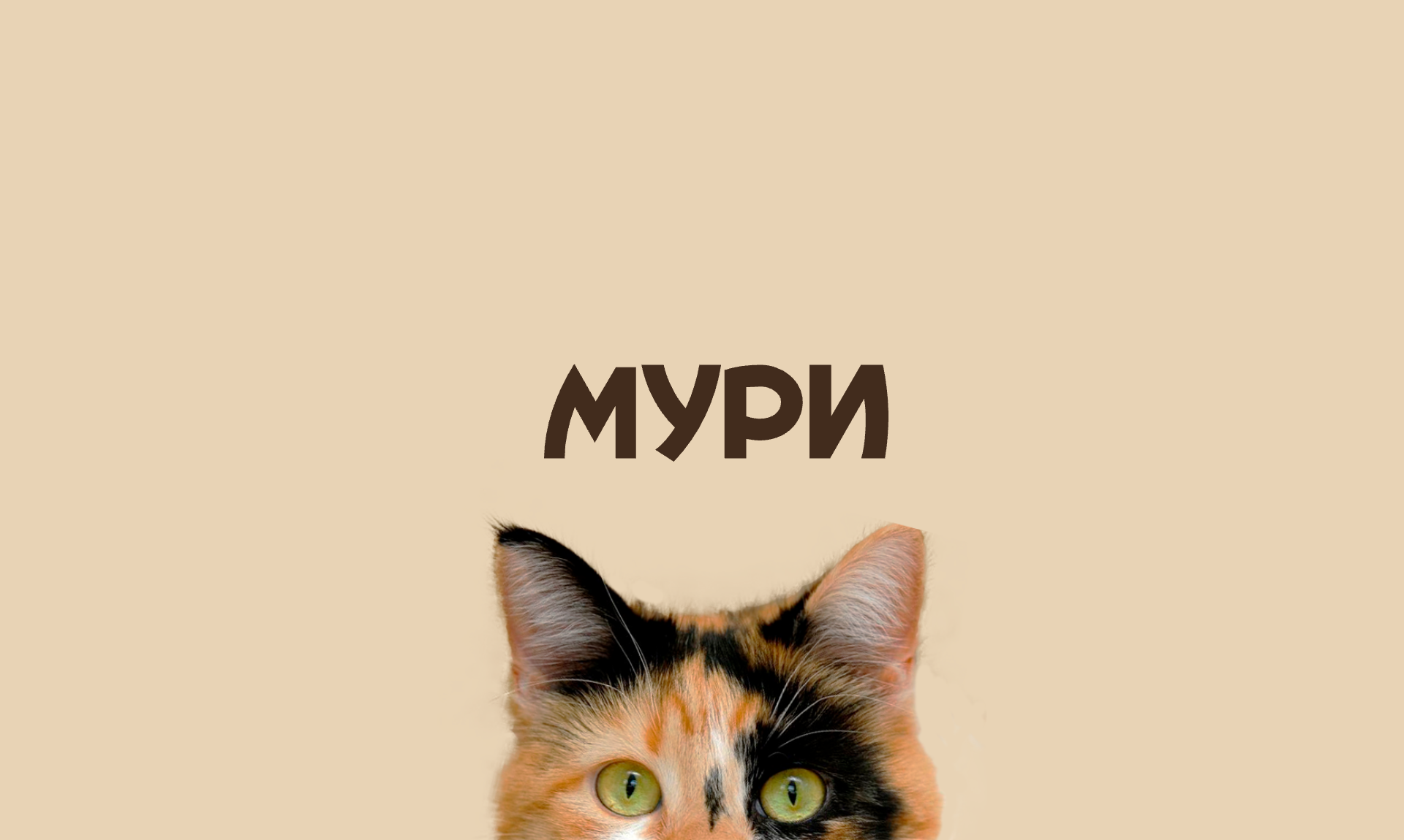 Айдентика для сети зоомагазинов "МУРИ" — Изображение №1 — Брендинг на Dprofile