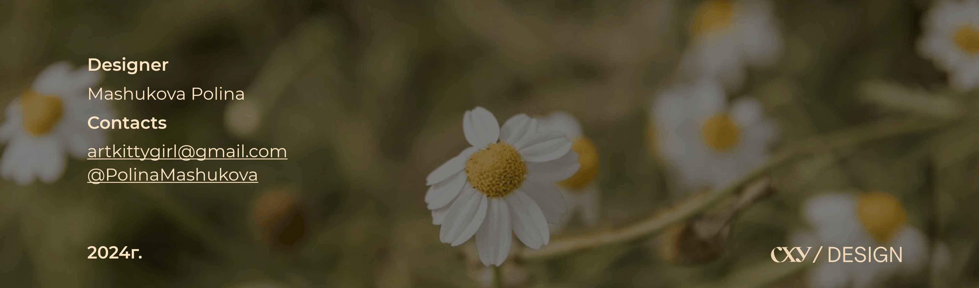 Приют для животных "Lapove" — Изображение №12 — Брендинг на Dprofile