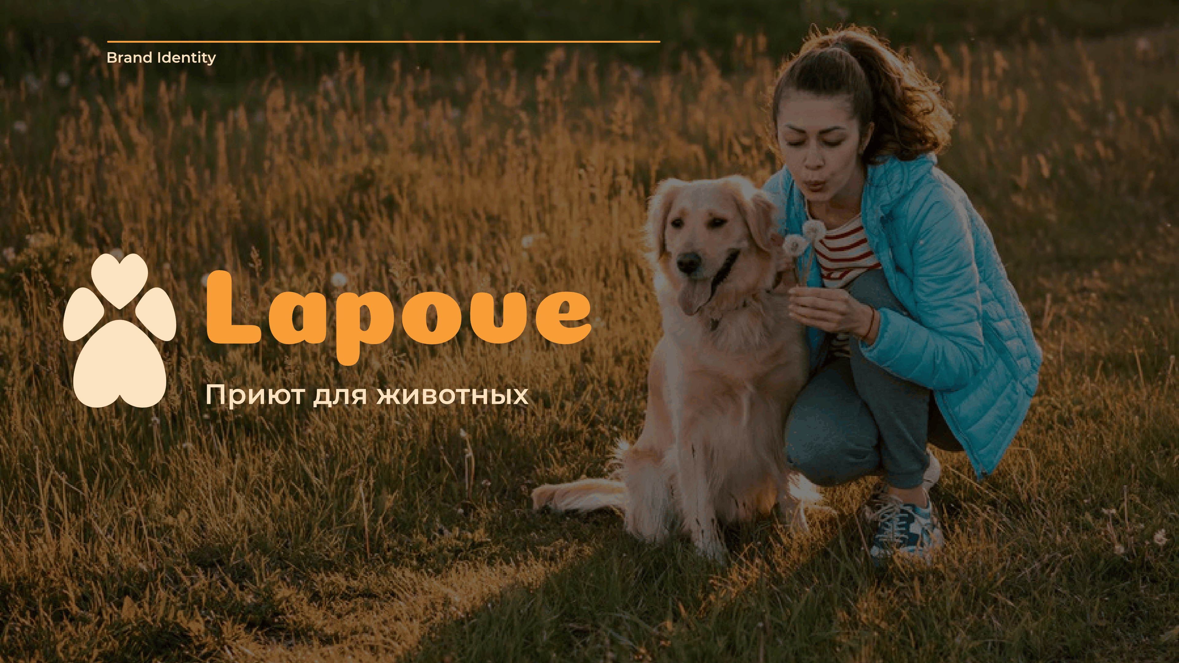 Приют для животных "Lapove" — Изображение №1 — Брендинг на Dprofile