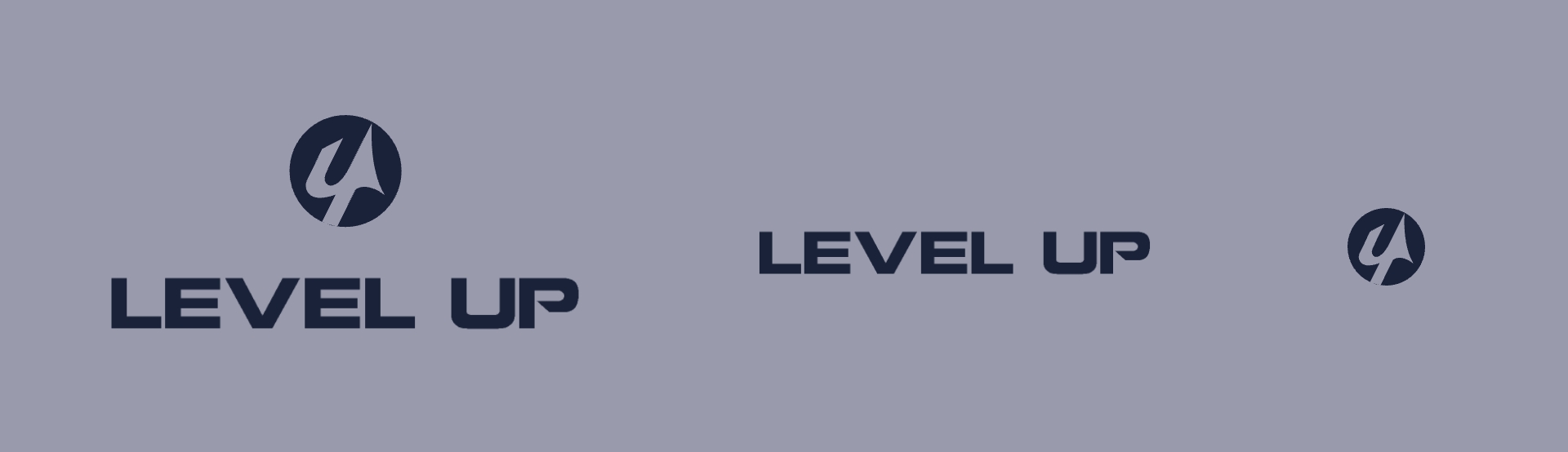 Компьютерный центр "Level up" — Изображение №3 — Брендинг на Dprofile