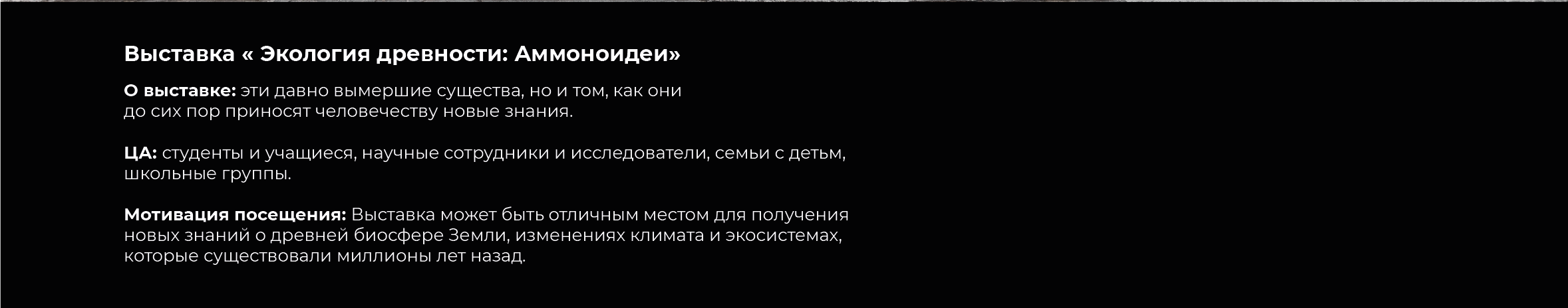 Айдентика для выставки "экология древности: Аммоноидеи" — Изображение №2 — Брендинг на Dprofile
