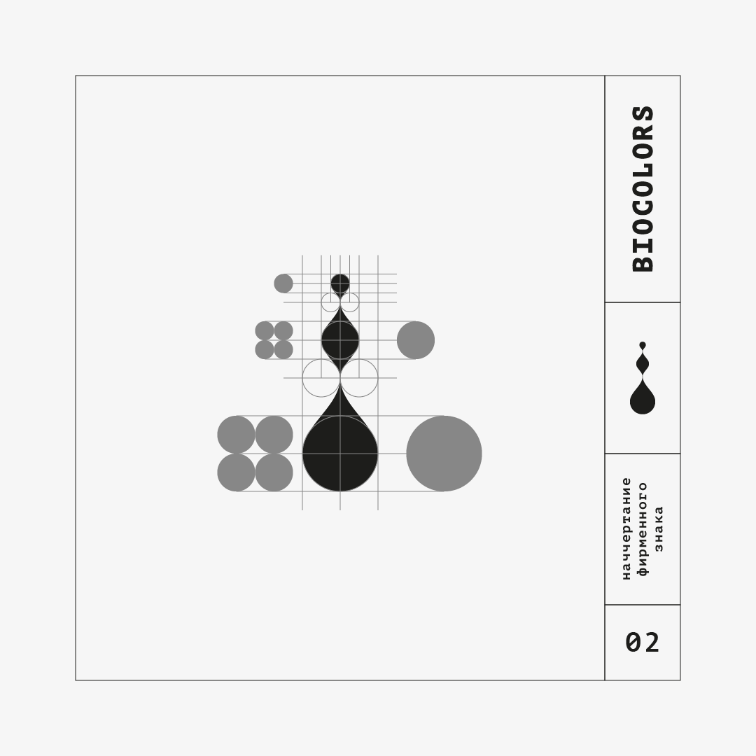брендинг для biocolors — Изображение №4 — Брендинг, Иллюстрация на Dprofile