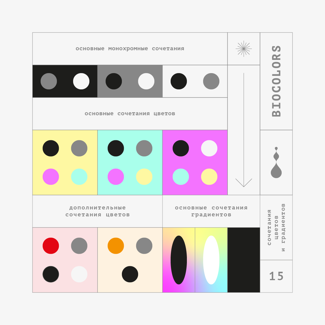 брендинг для biocolors — Изображение №17 — Брендинг, Иллюстрация на Dprofile