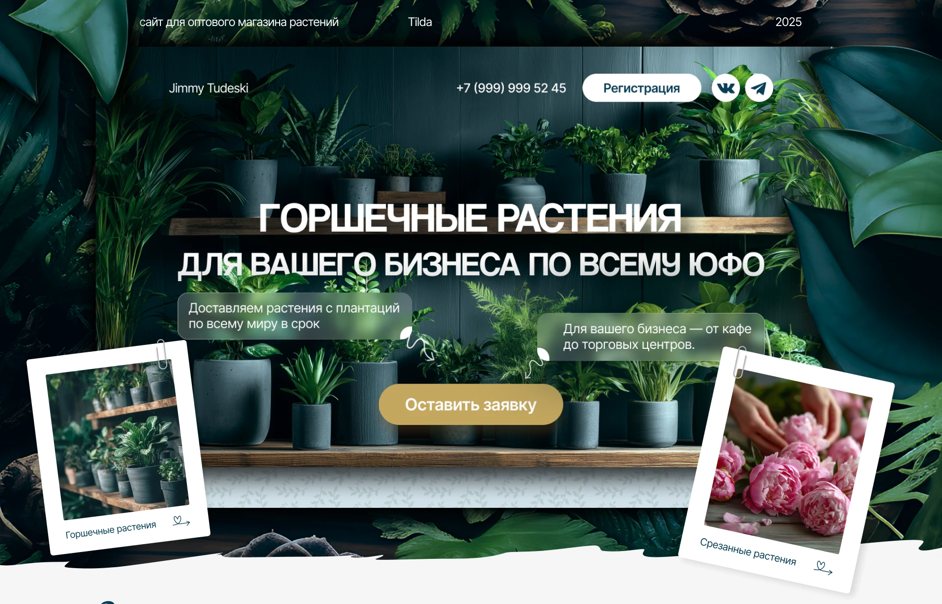Сайт для оптового магазина горшечных растений — Изображение №1 — Интерфейсы, Маркетинг на Dprofile