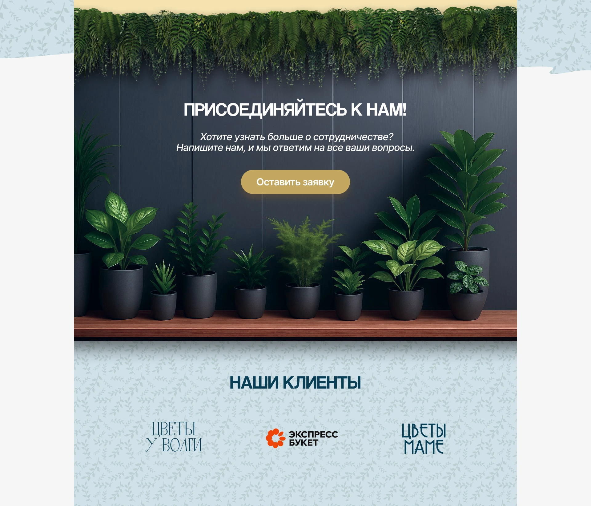 Сайт для оптового магазина горшечных растений — Изображение №6 — Интерфейсы, Маркетинг на Dprofile
