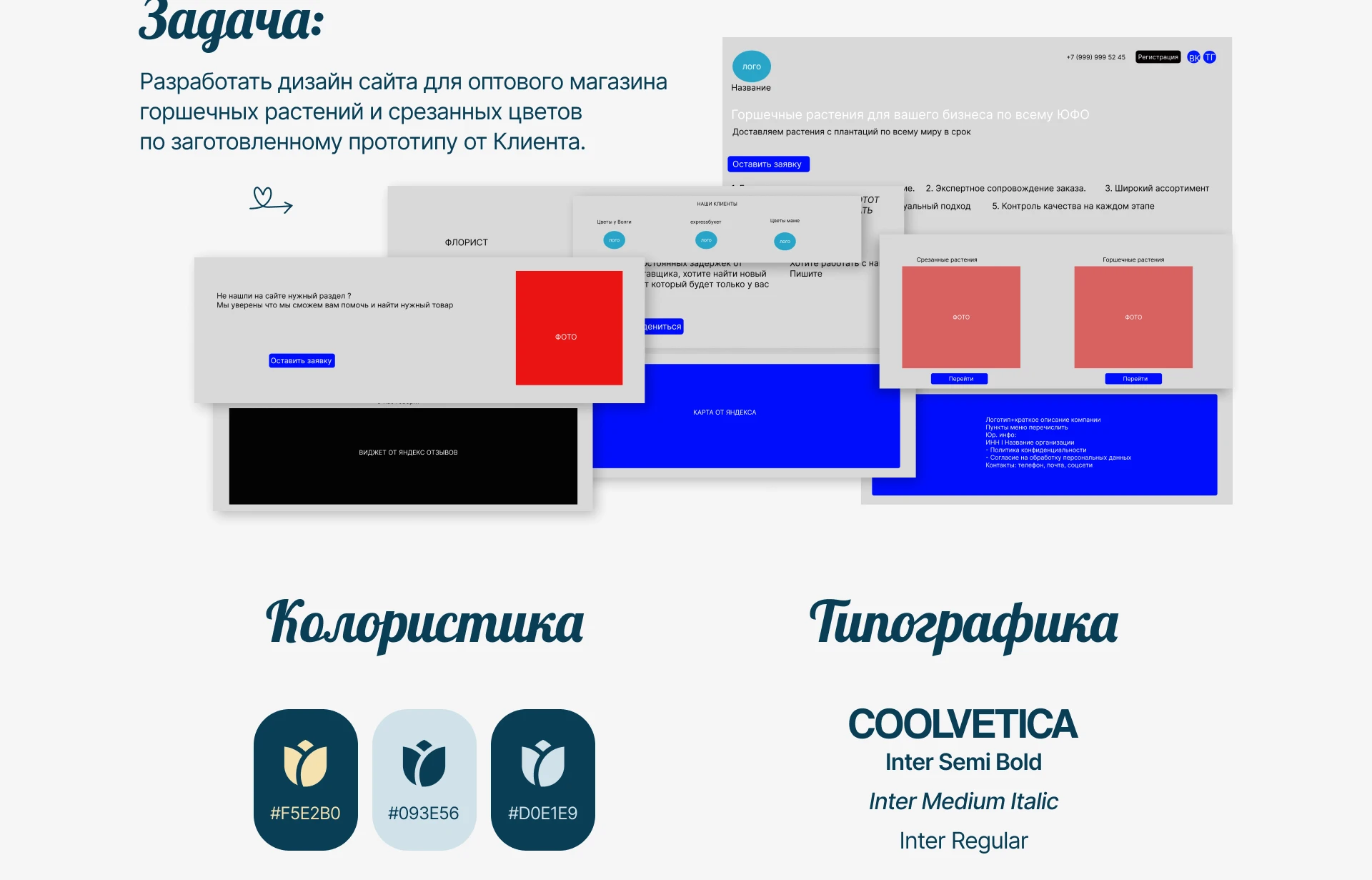 Сайт для оптового магазина горшечных растений — Изображение №2 — Интерфейсы, Маркетинг на Dprofile