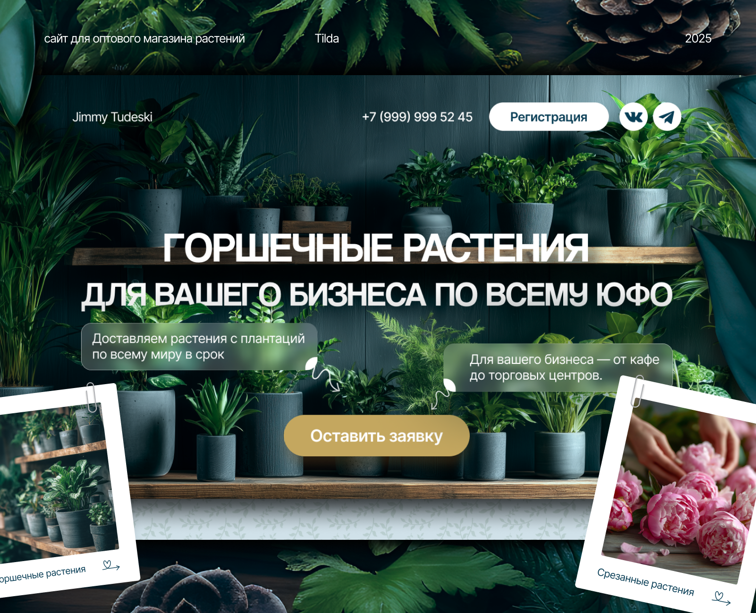 Сайт для оптового магазина горшечных растений — Интерфейсы, Маркетинг на Dprofile