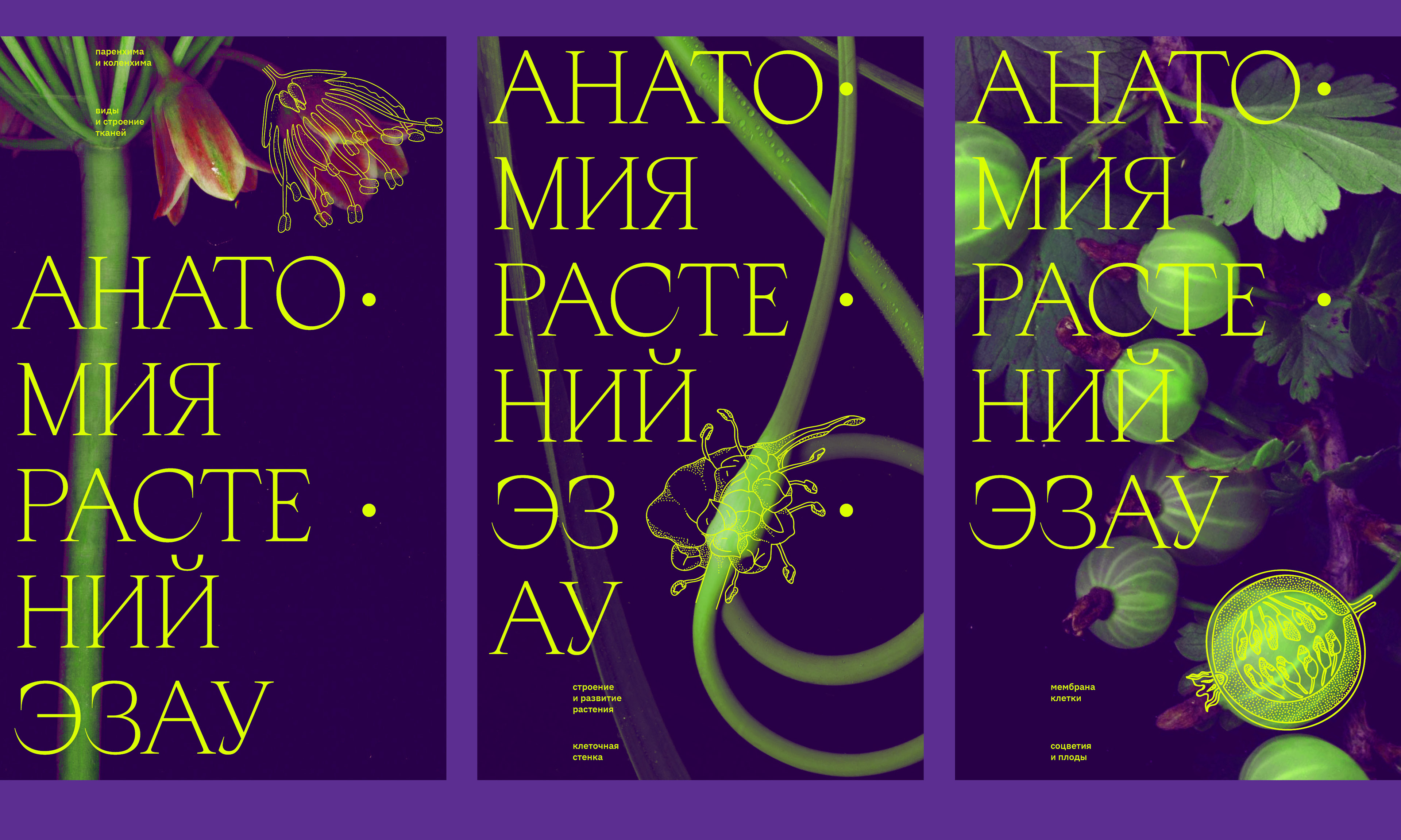 Esau's Plant Anatomy — Изображение №3 — Графика на Dprofile