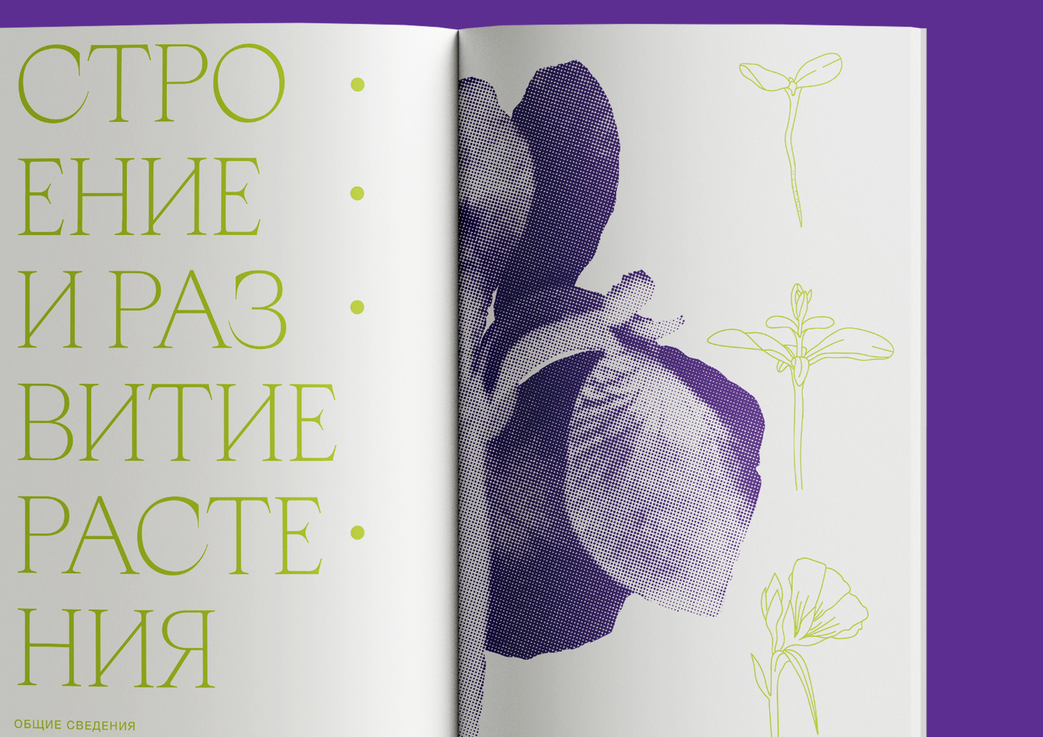Esau's Plant Anatomy — Изображение №9 — Графика на Dprofile