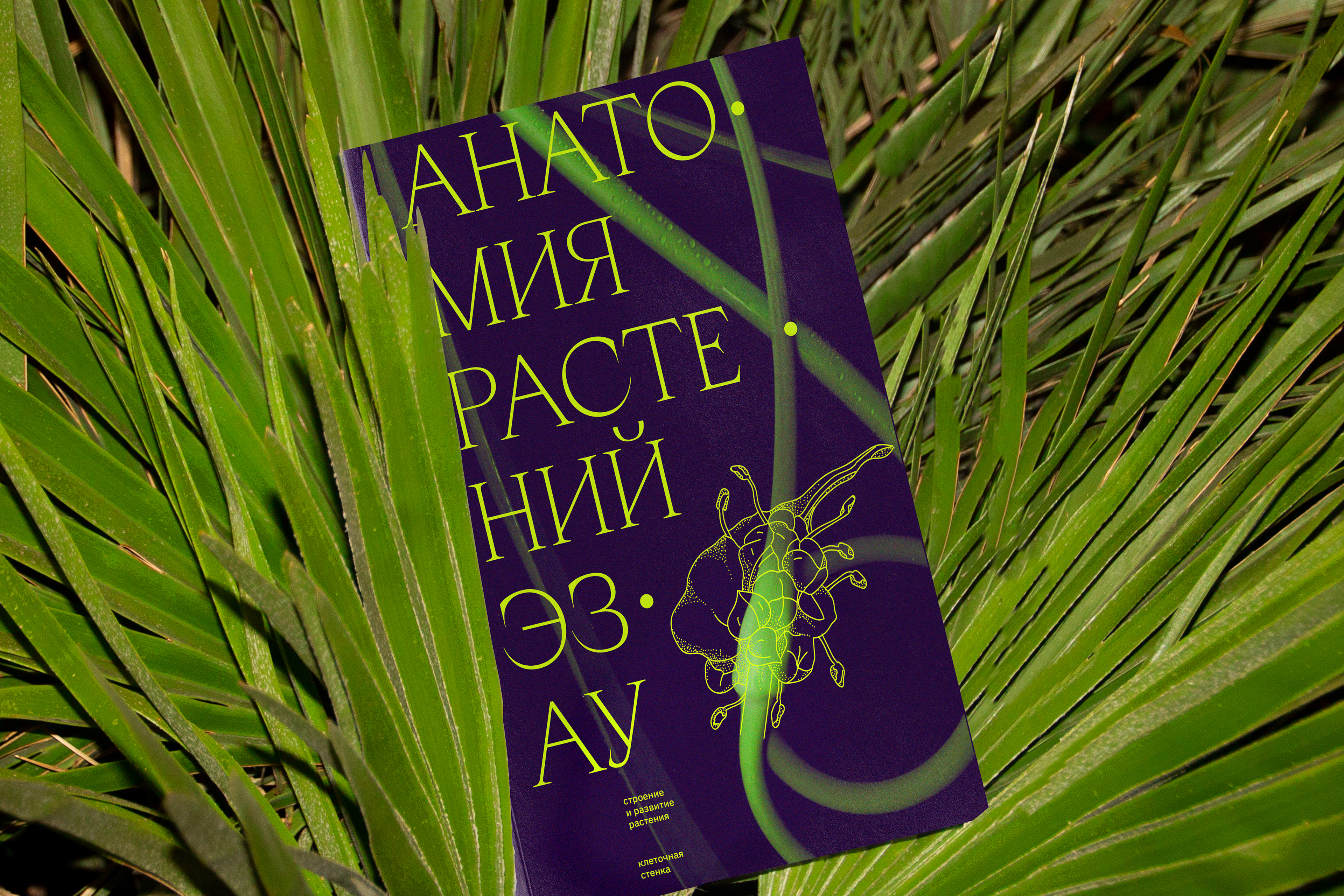 Esau's Plant Anatomy — Изображение №1 — Графика на Dprofile