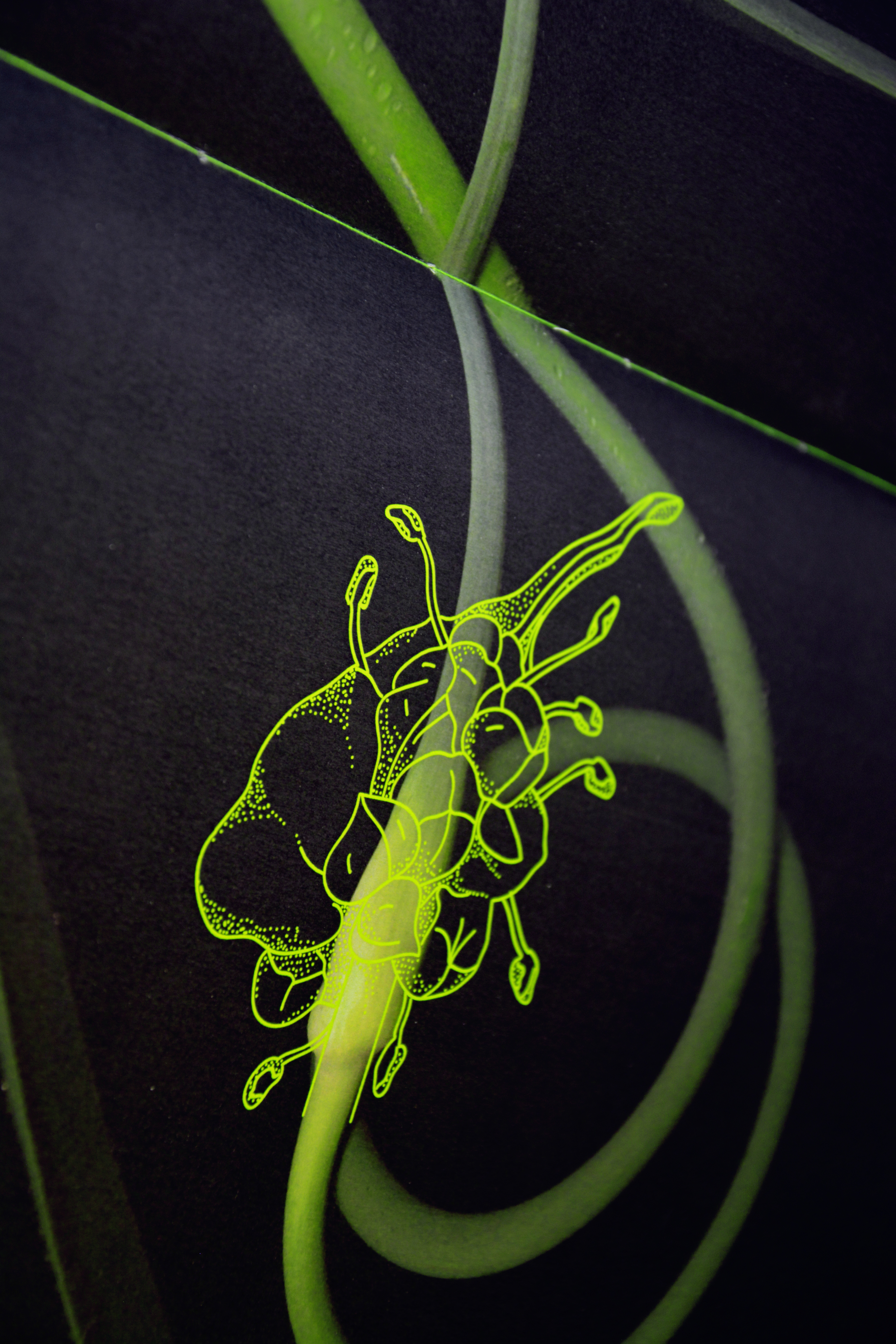 Esau's Plant Anatomy — Изображение №2 — Графика на Dprofile