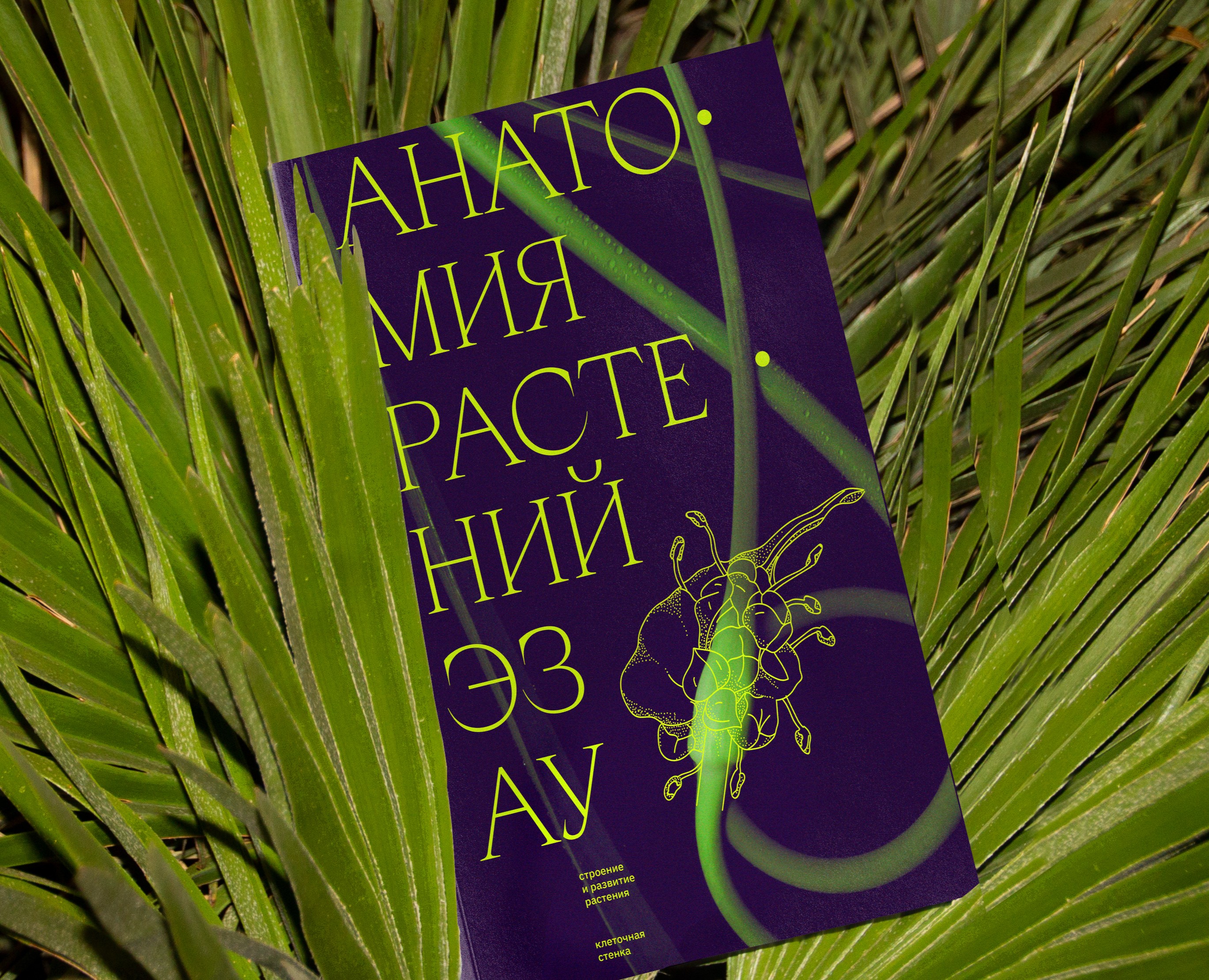 Esau's Plant Anatomy — Графика на Dprofile