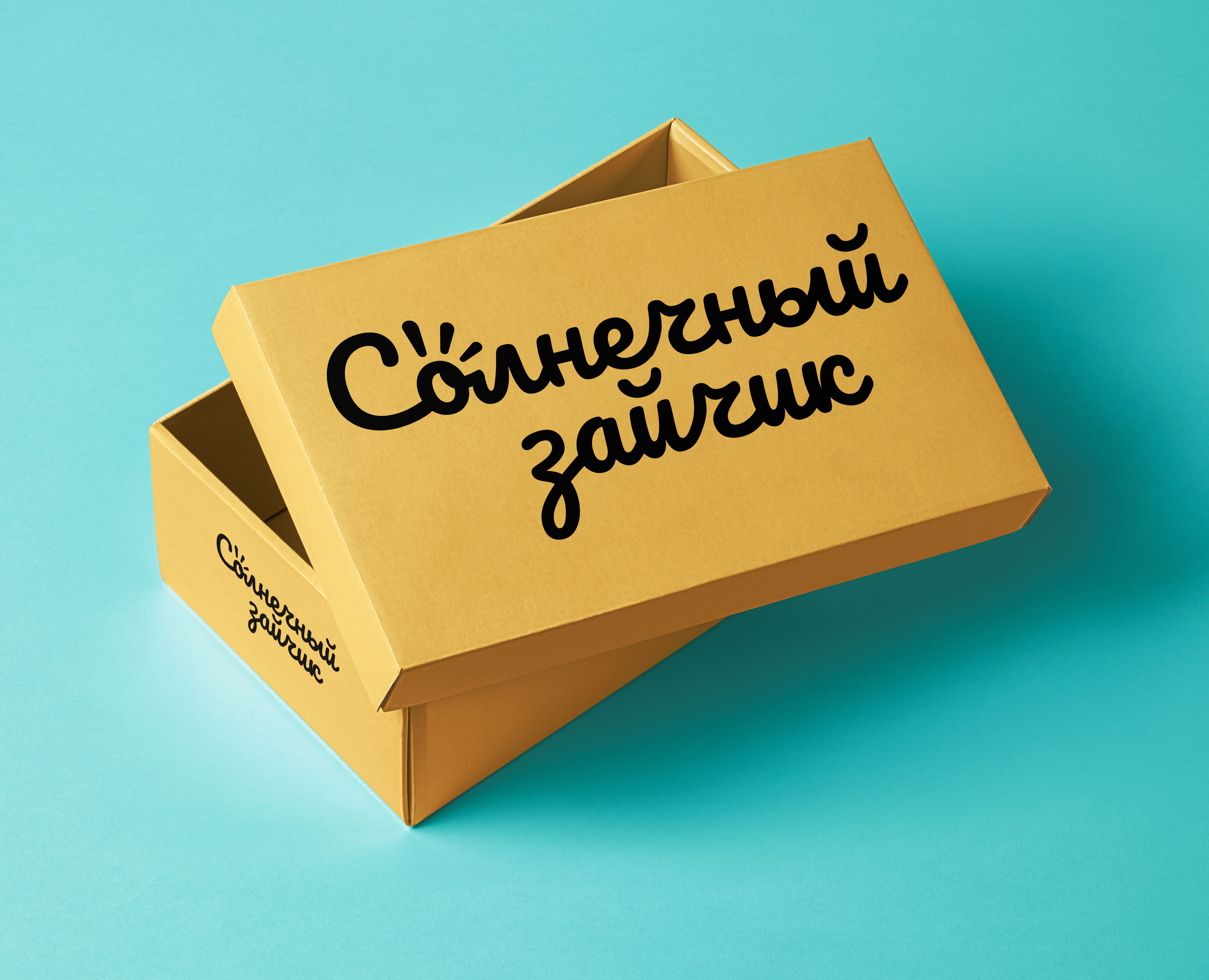 Логотип магазина детской одежды "Солнечный зайчик" на Dprofile