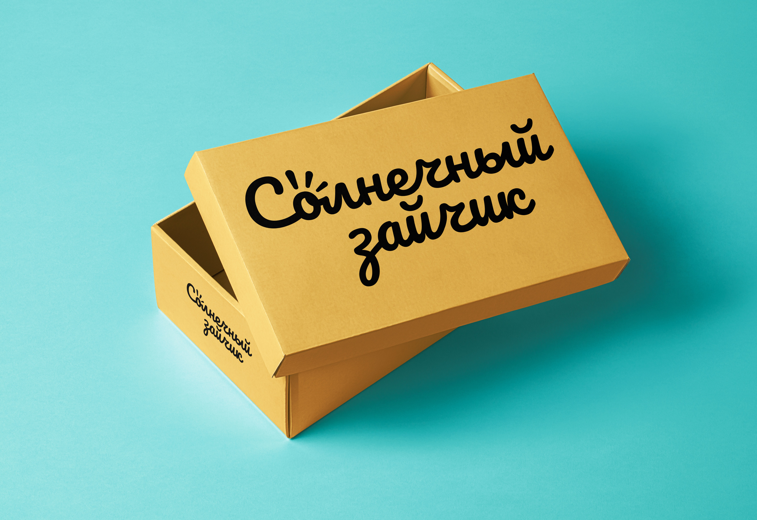 Логотип магазина детской одежды "Солнечный зайчик" — Изображение №5 — Брендинг, Графика на Dprofile