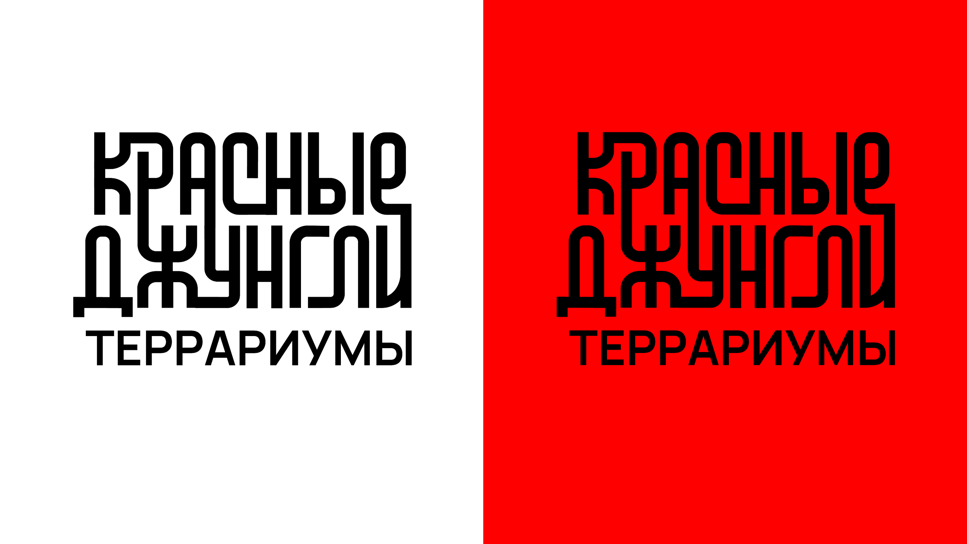 Упаковка террариума для паука птицееда "Красные джунгли" — Изображение №1 — Брендинг на Dprofile