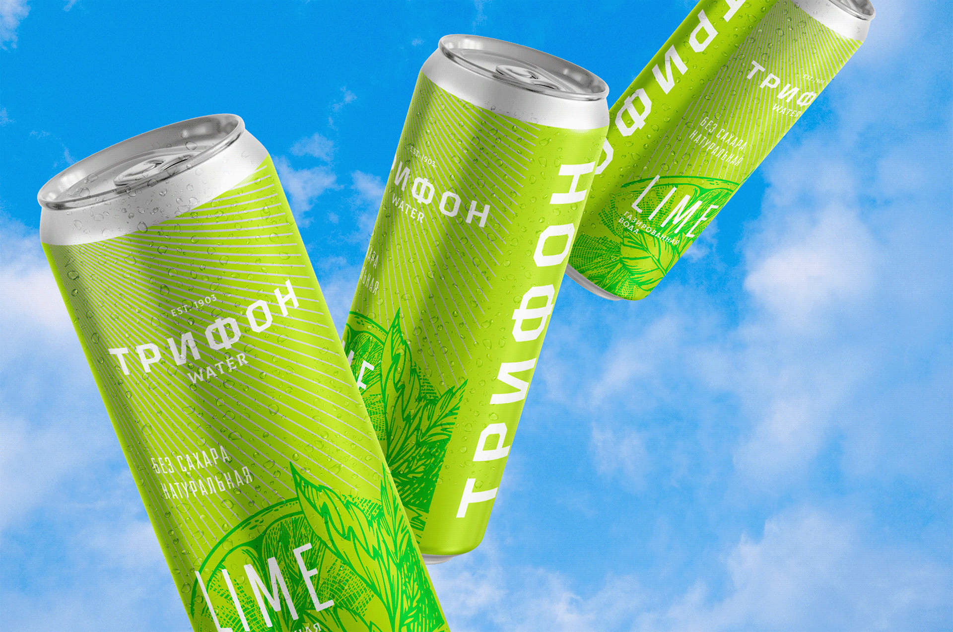 Trifon Water | Packaging design — Изображение №15 — Брендинг, Графика на Dprofile