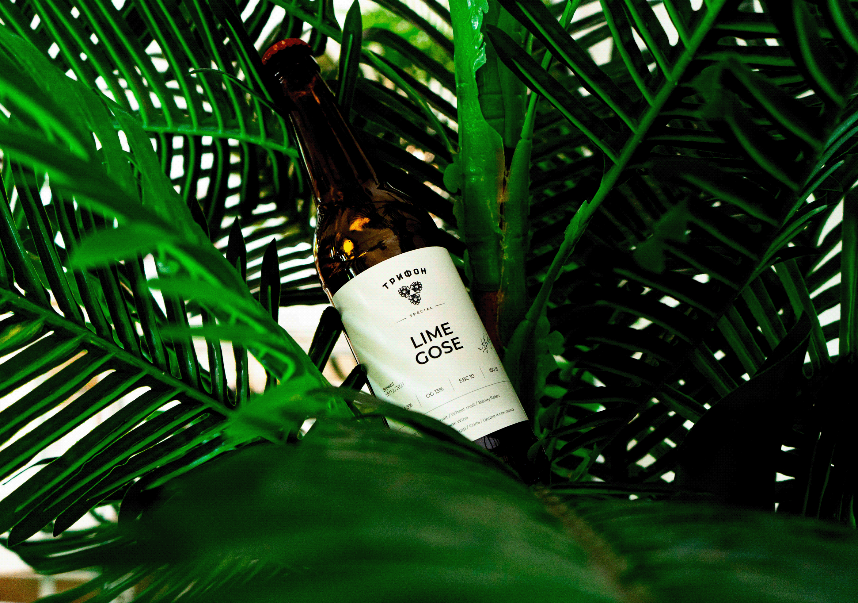 Trifon Special | Packaging design — Изображение №1 — Брендинг, Графика на Dprofile