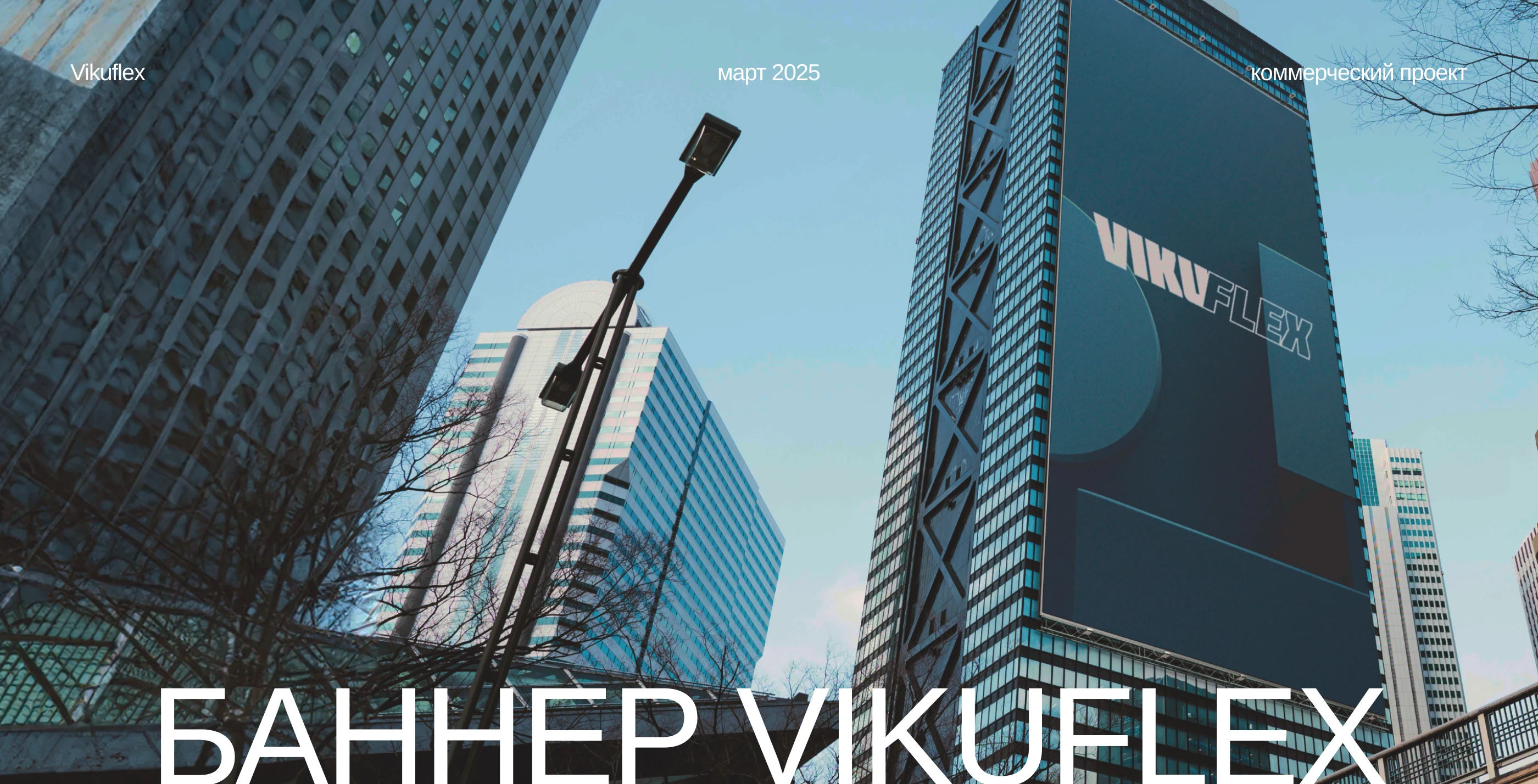 Разработка айдентики и веб-сайта бренда Vikuflex — Изображение №1 — Интерфейсы, Брендинг на Dprofile