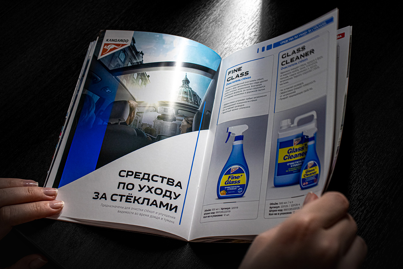 Каталог автохимии и автокосметики из Южной Кореи — Изображение №13 — Брендинг, Графика на Dprofile