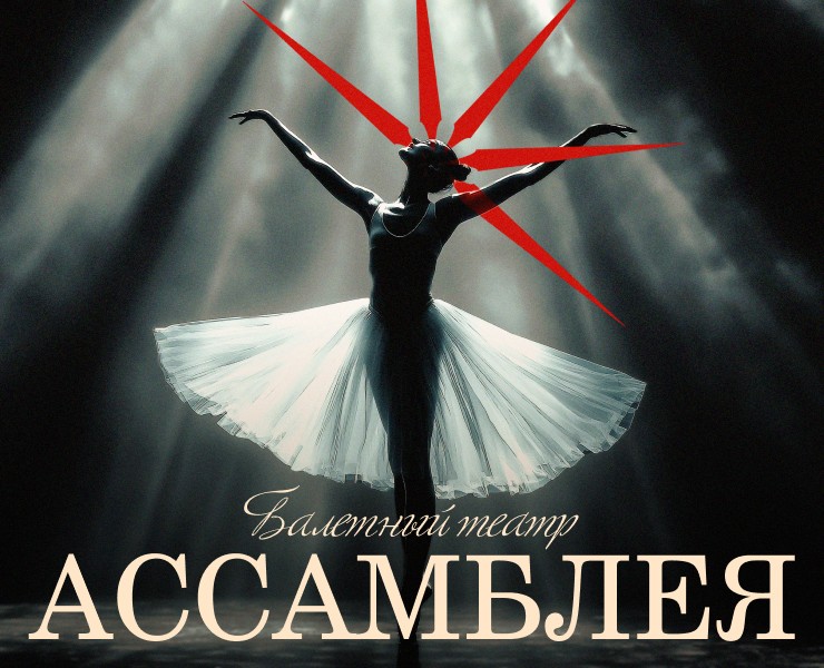 Айдентика для Балетного театра «Ассамблея» на Dprofile