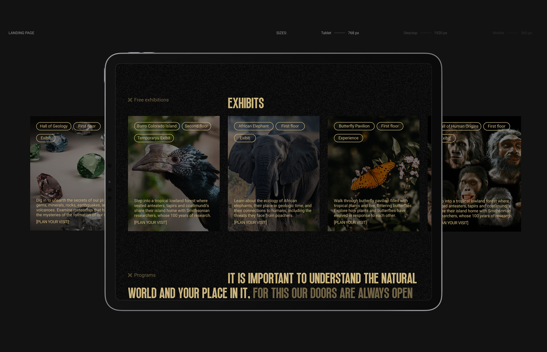 National Museum of Natural History |LANDING PAGE — Изображение №9 — Интерфейсы, Анимация на Dprofile