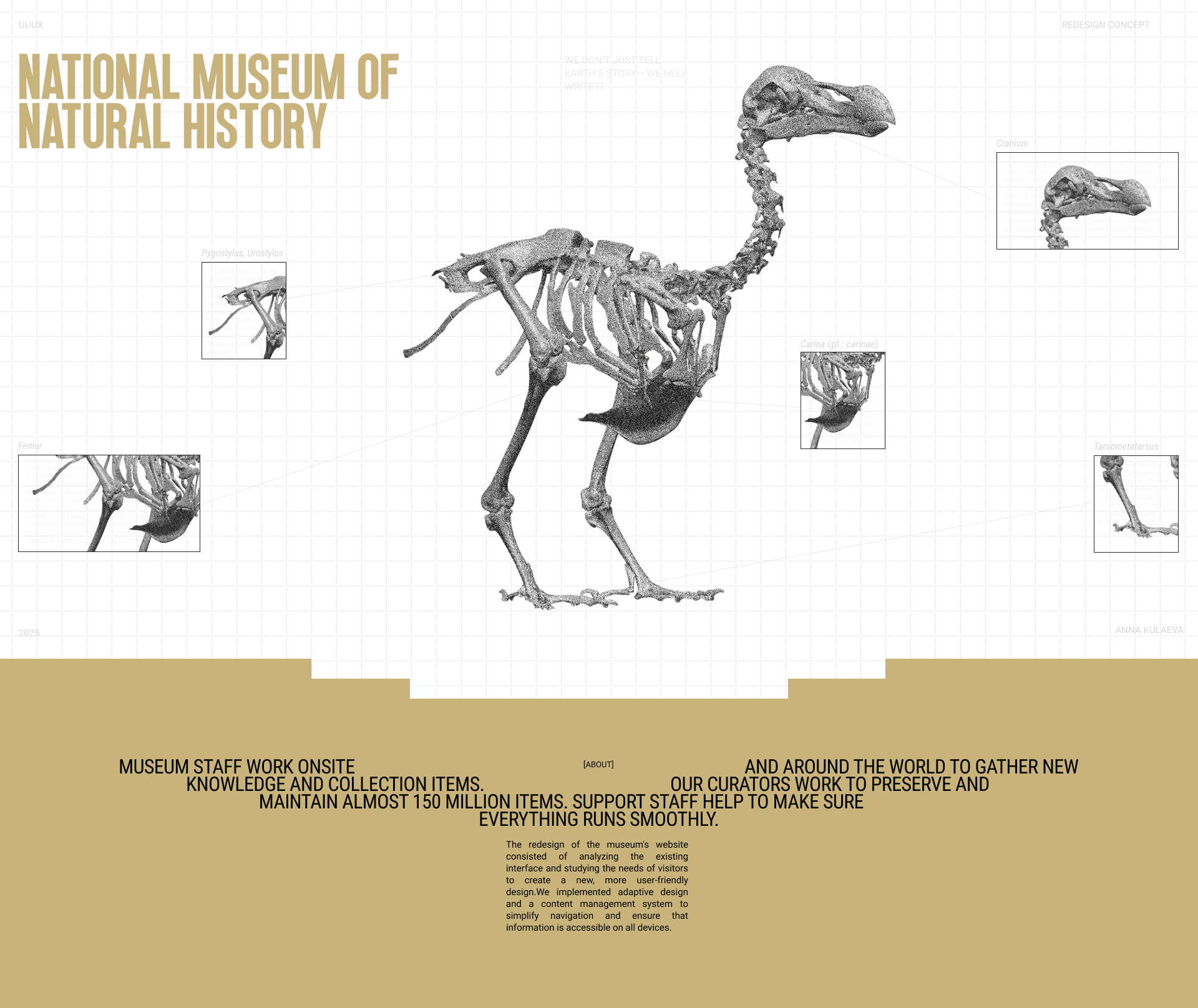 National Museum of Natural History |LANDING PAGE — Изображение №1 — Интерфейсы, Анимация на Dprofile