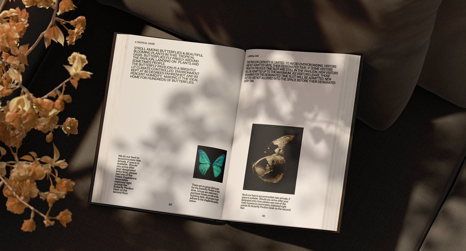 National Museum of Natural History |LANDING PAGE — Изображение №10 — Интерфейсы, Анимация на Dprofile