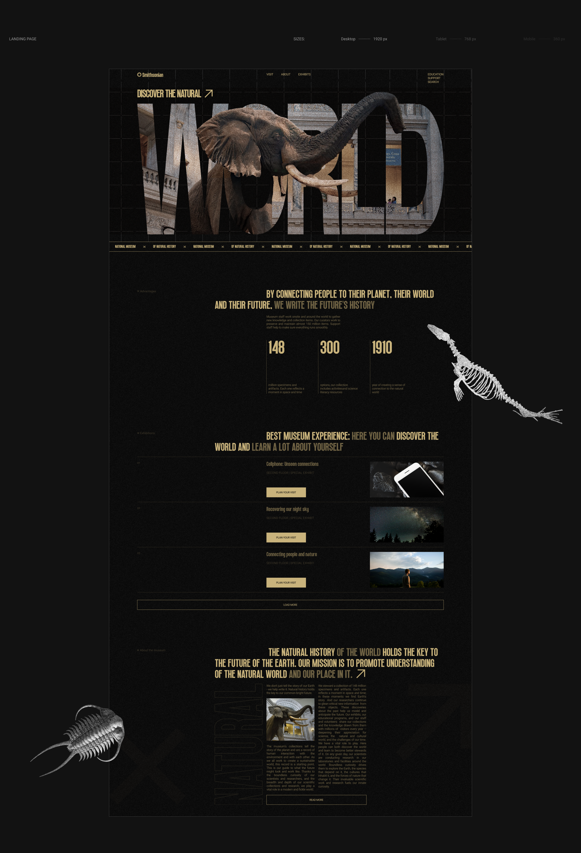 National Museum of Natural History |LANDING PAGE — Изображение №3 — Интерфейсы, Анимация на Dprofile
