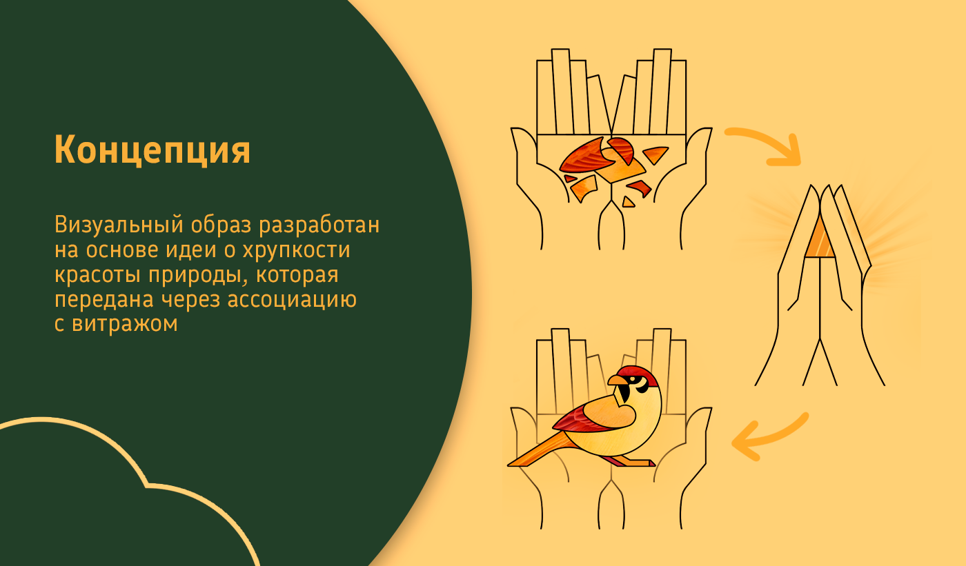 Визуальная концепция Центра реабилитации диких птиц — Изображение №5 — Интерфейсы на Dprofile