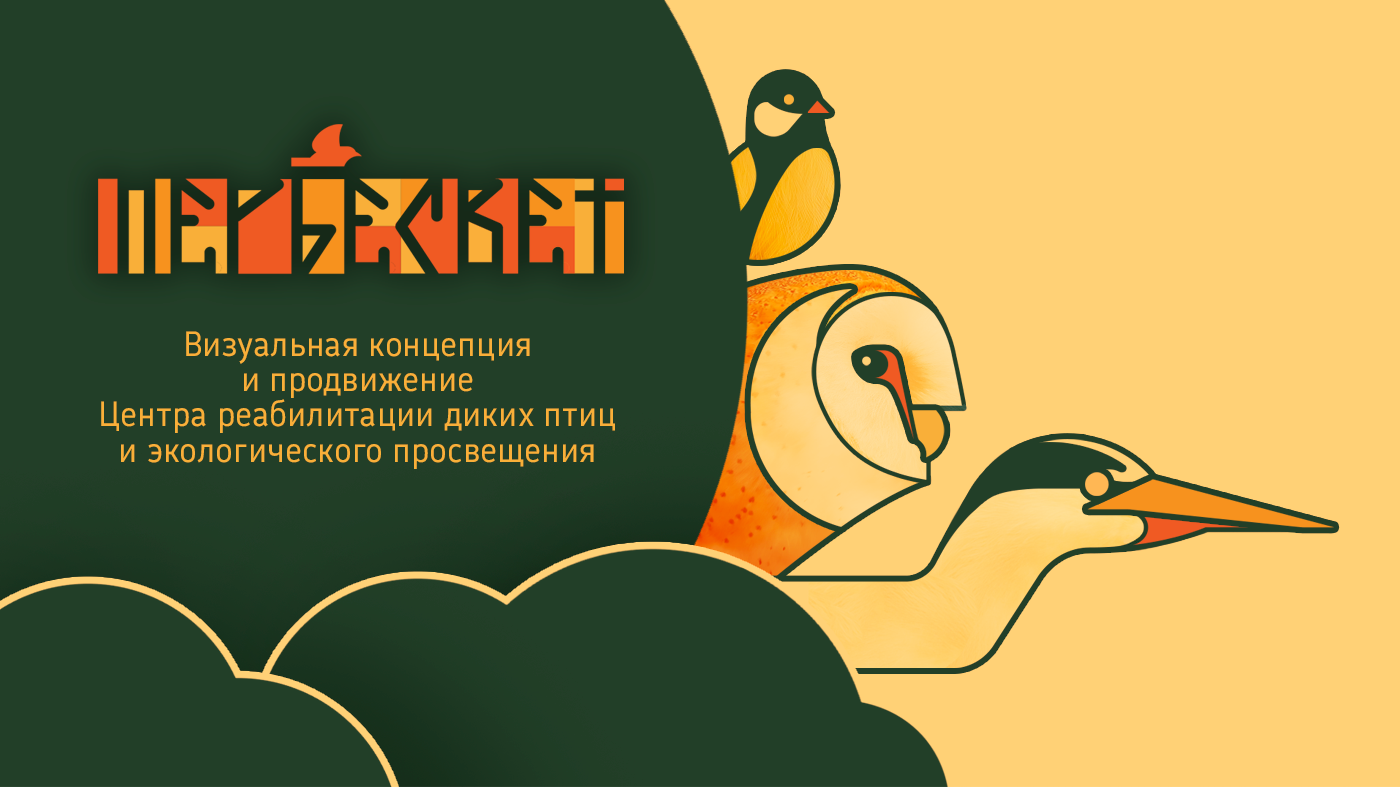 Визуальная концепция Центра реабилитации диких птиц — Изображение №1 — Интерфейсы на Dprofile
