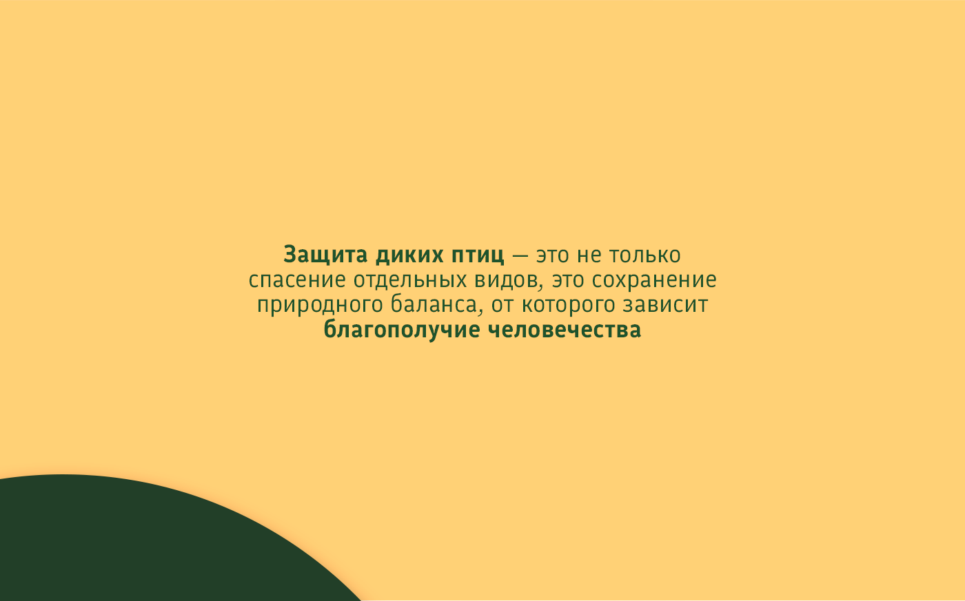 Визуальная концепция Центра реабилитации диких птиц — Изображение №2 — Интерфейсы на Dprofile