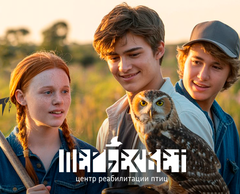 Визуальная концепция Центра реабилитации диких птиц — Интерфейсы на Dprofile