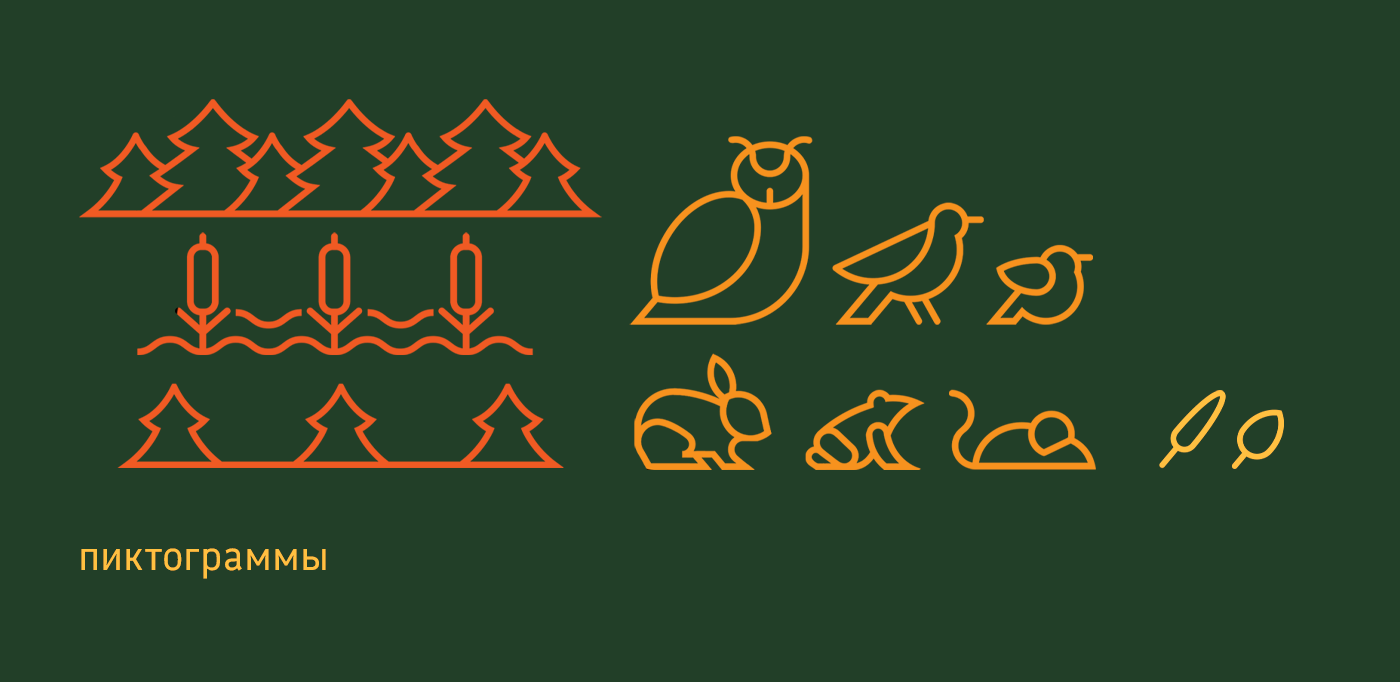 Визуальная концепция Центра реабилитации диких птиц — Изображение №8 — Интерфейсы на Dprofile