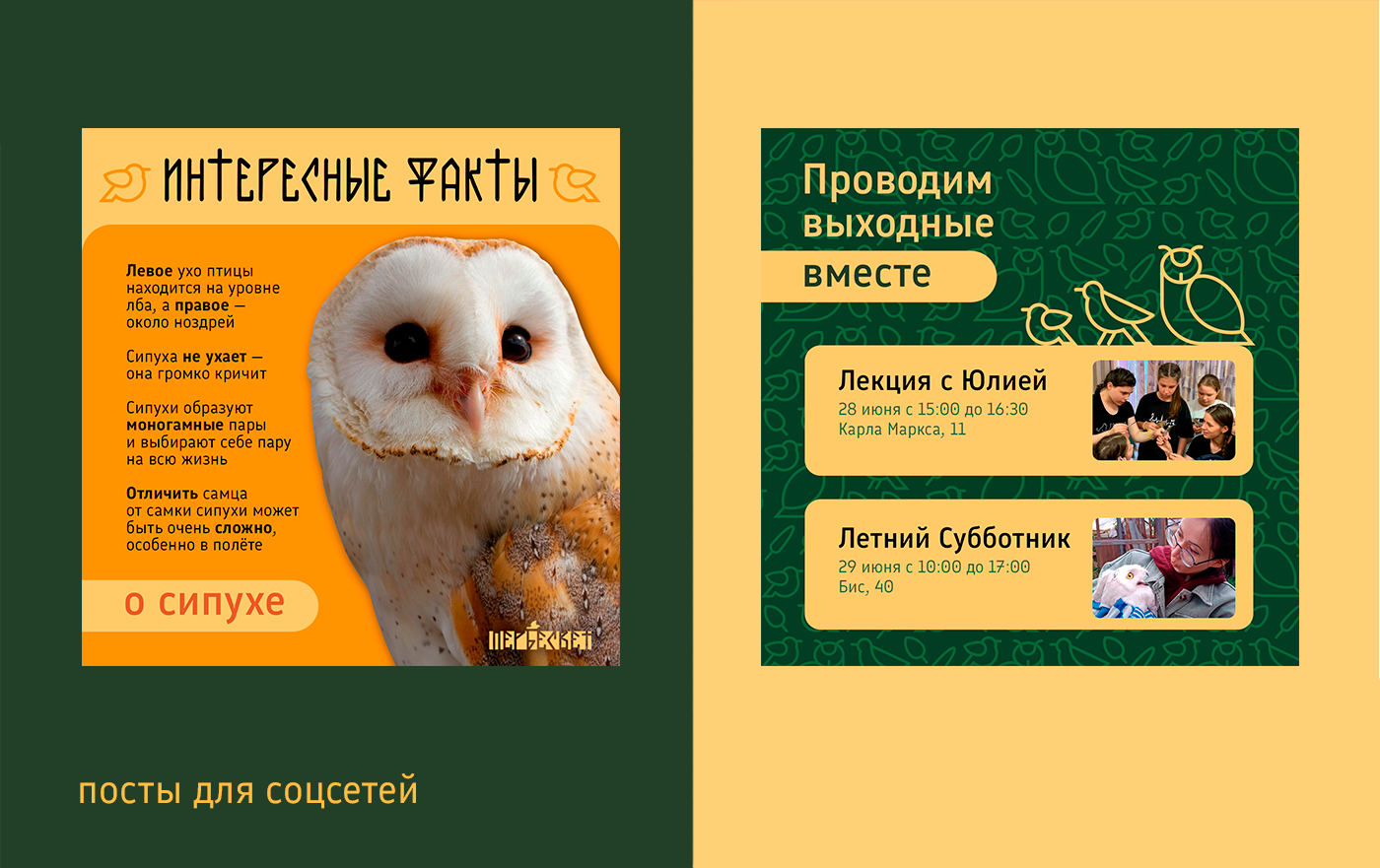 Визуальная концепция Центра реабилитации диких птиц — Изображение №13 — Интерфейсы на Dprofile