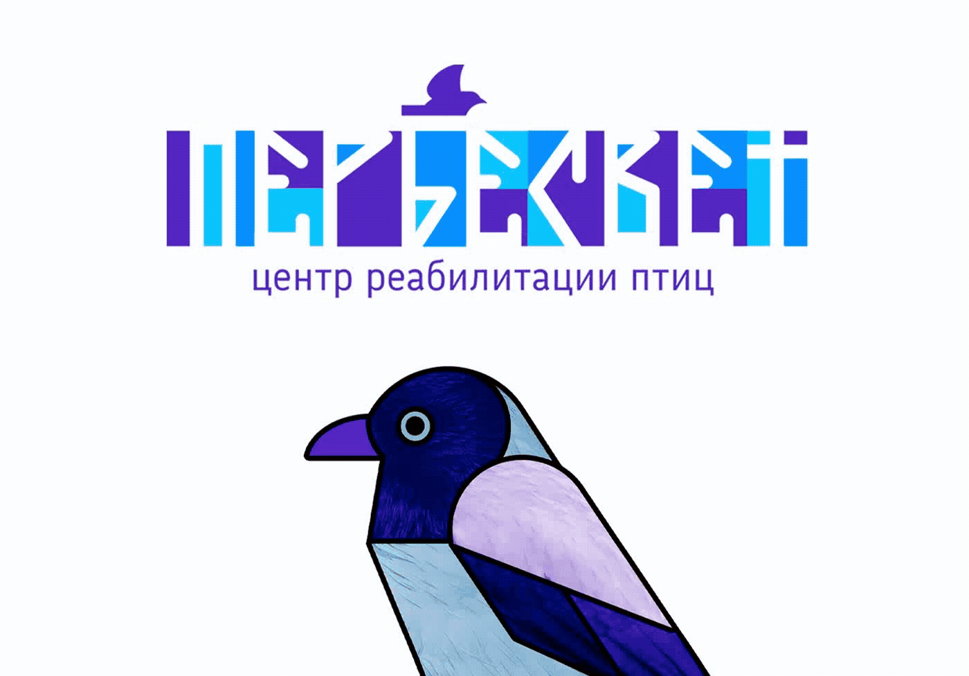 Визуальная концепция Центра реабилитации диких птиц — Изображение №6 — Интерфейсы на Dprofile
