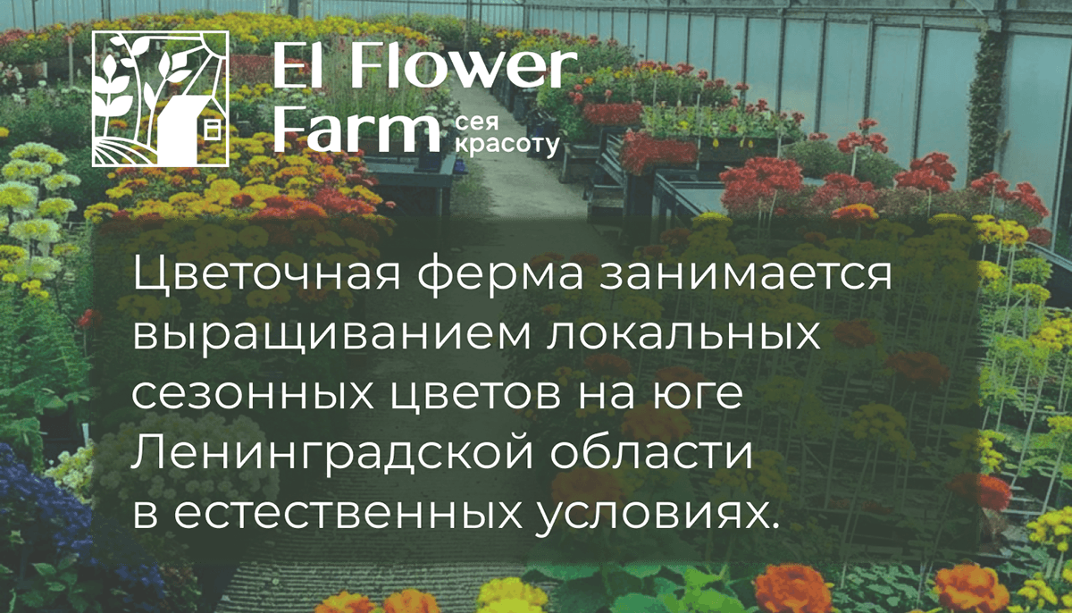 Баннеры и  шаблоны для соцсетей для El Flower Farm — Изображение №1 — Интерфейсы, Графика на Dprofile