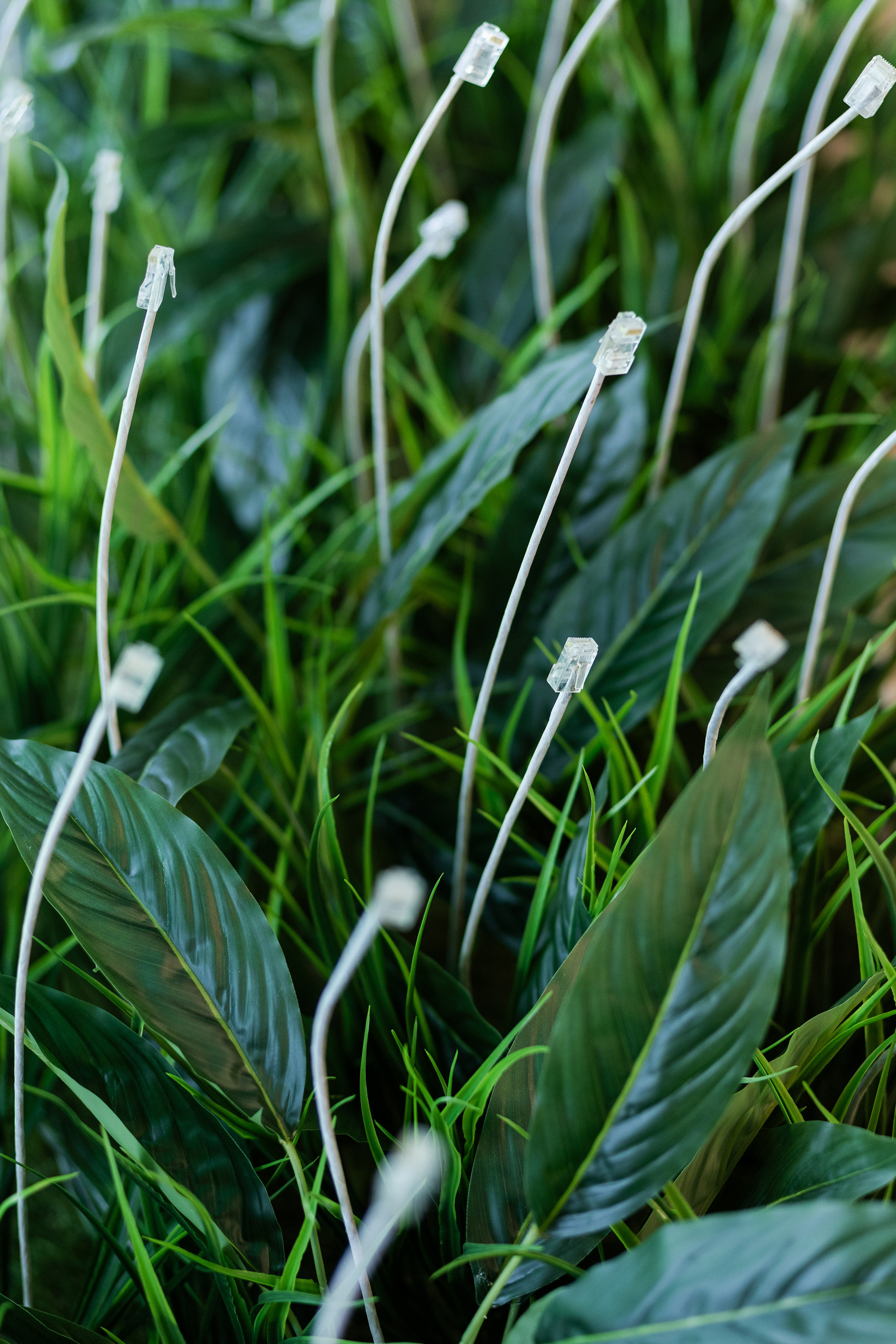 GOCLOUD 2025 — IT Конференция | Демо зоны — Изображение №22 — 3D, Маркетинг на Dprofile