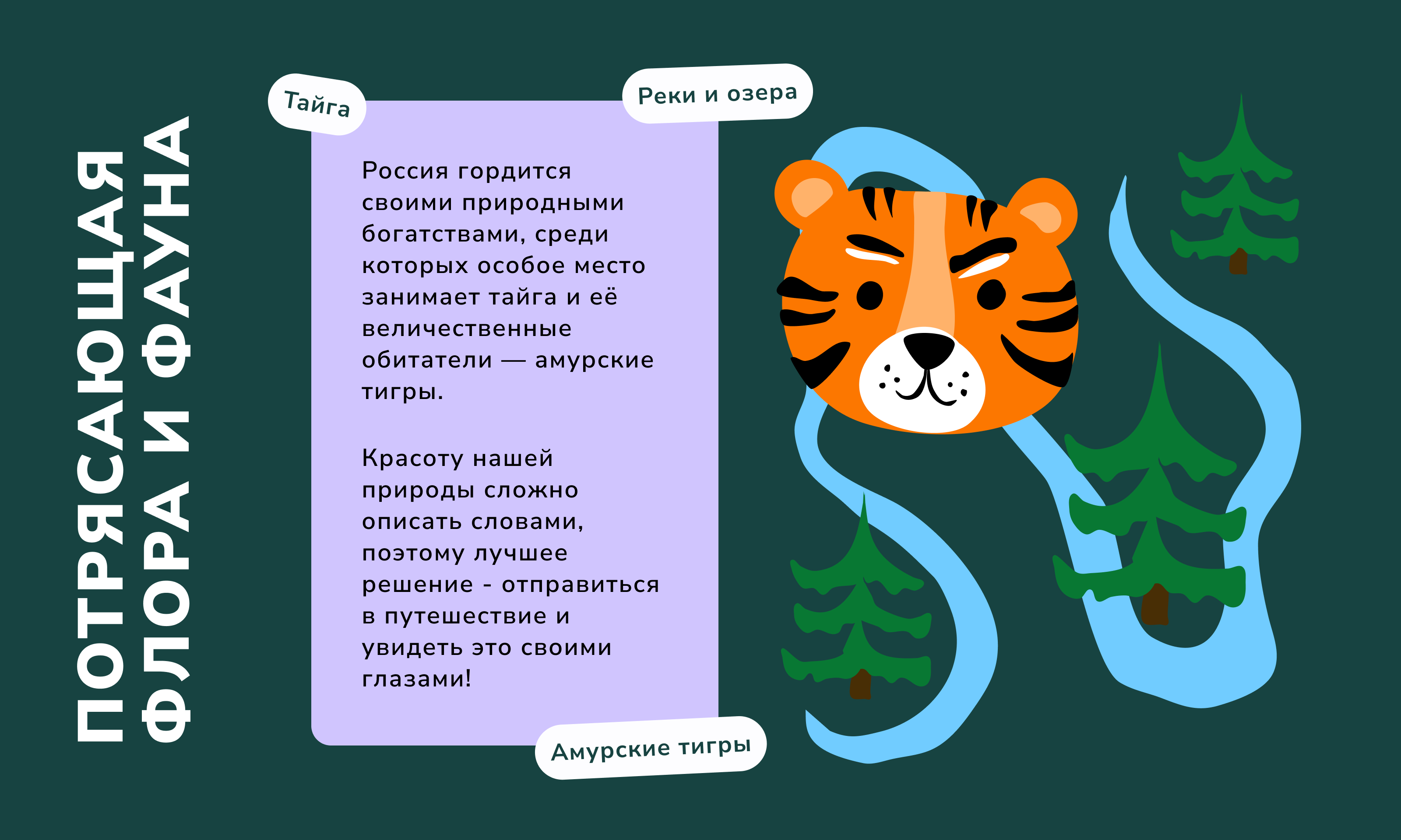 Путешествия по России — Изображение №6 — Брендинг, Графика на Dprofile