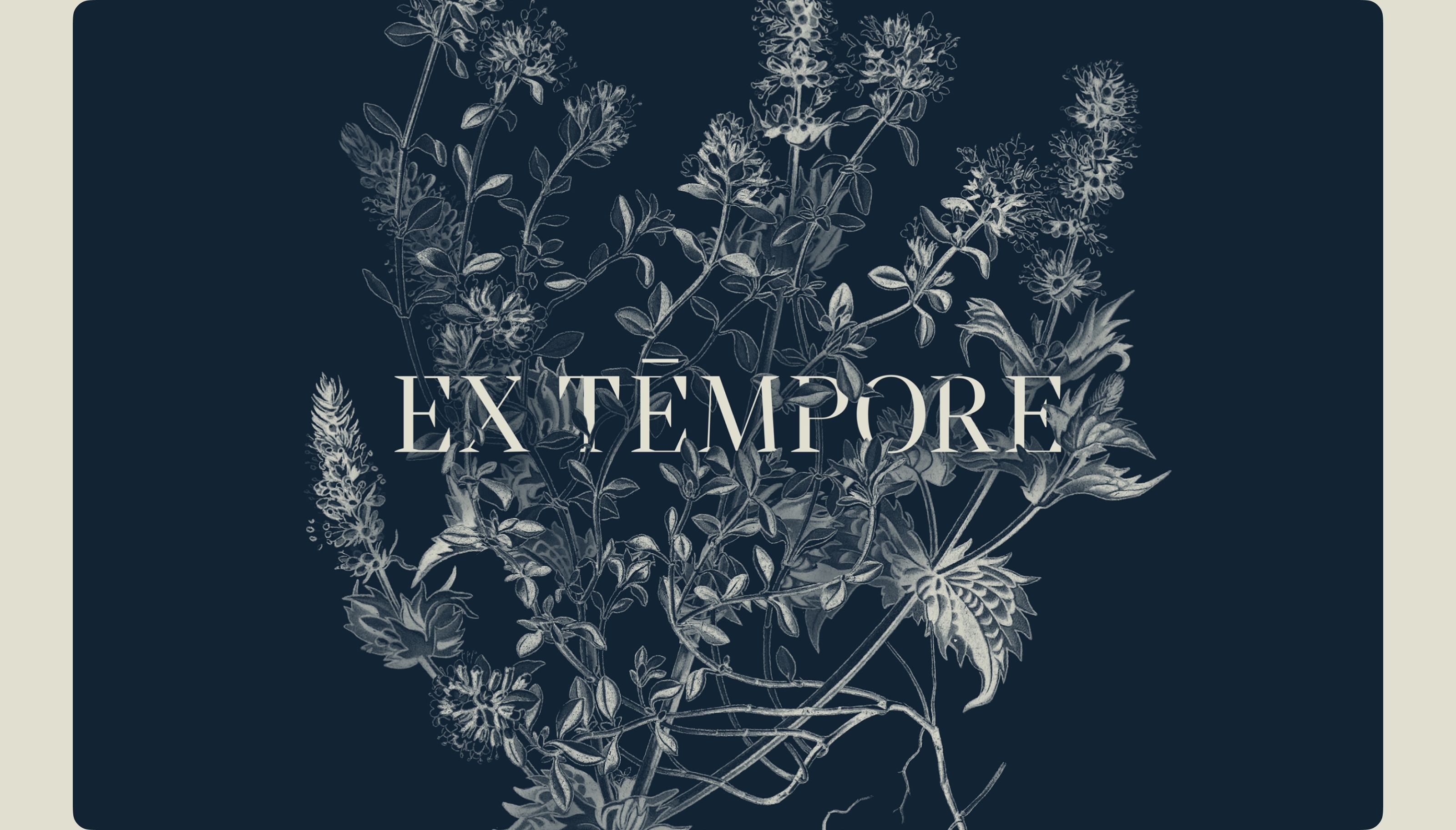 Айдентика и упаковка Ex Témpore — Изображение №2 — Брендинг на Dprofile