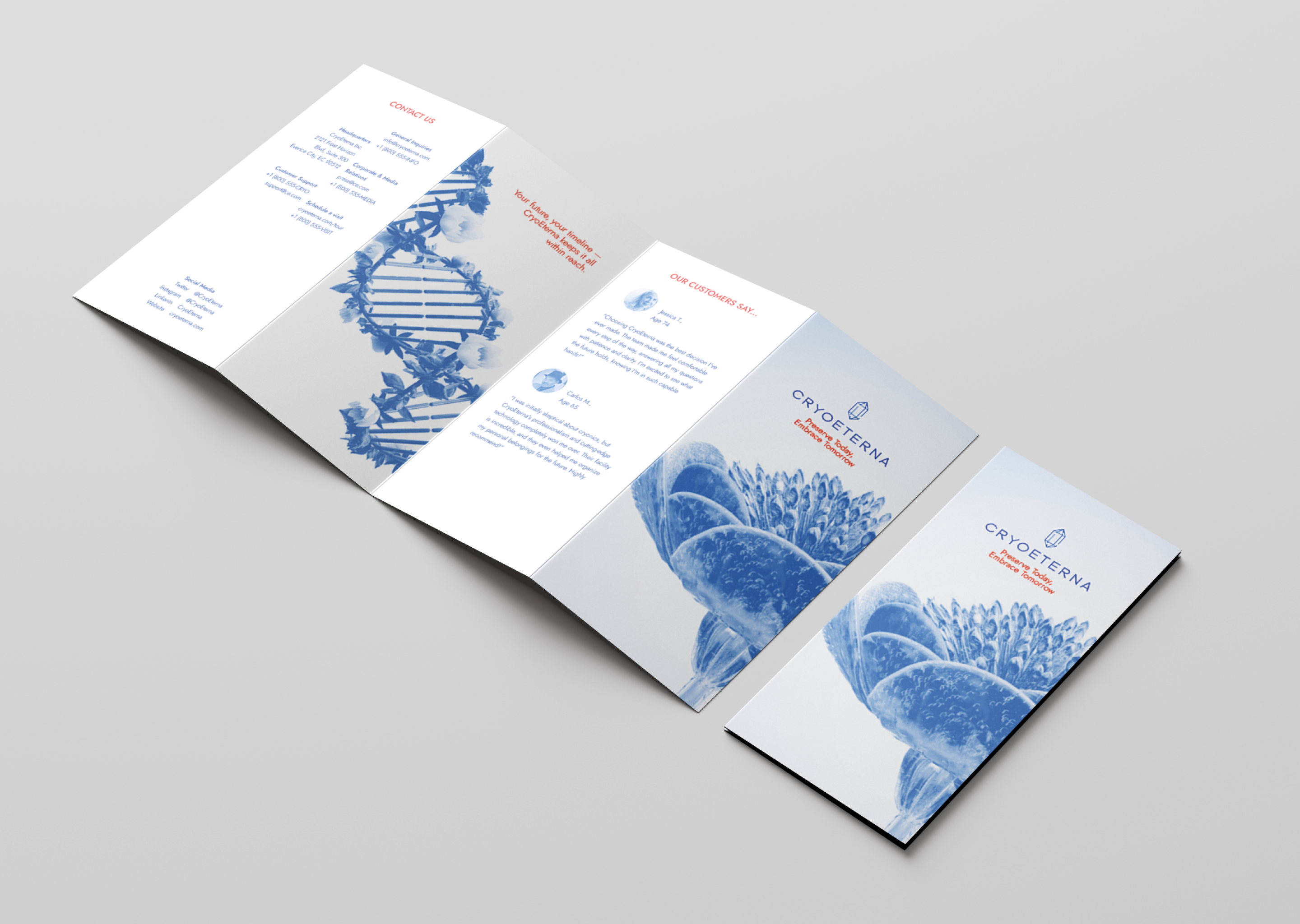 Лифлет для центра крионики — Изображение №5 — Графика на Dprofile