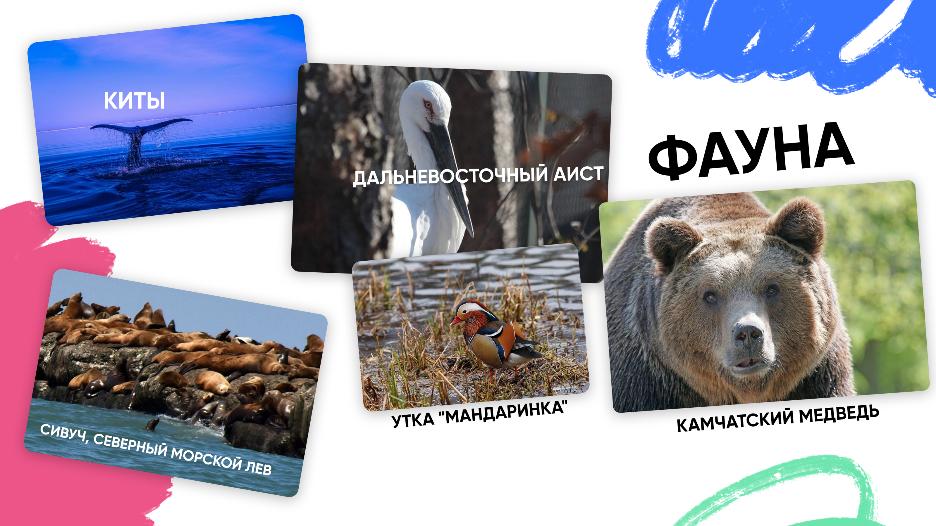 КРДВ/ создание мерча и HR-бренда — Изображение №7 — Брендинг на Dprofile