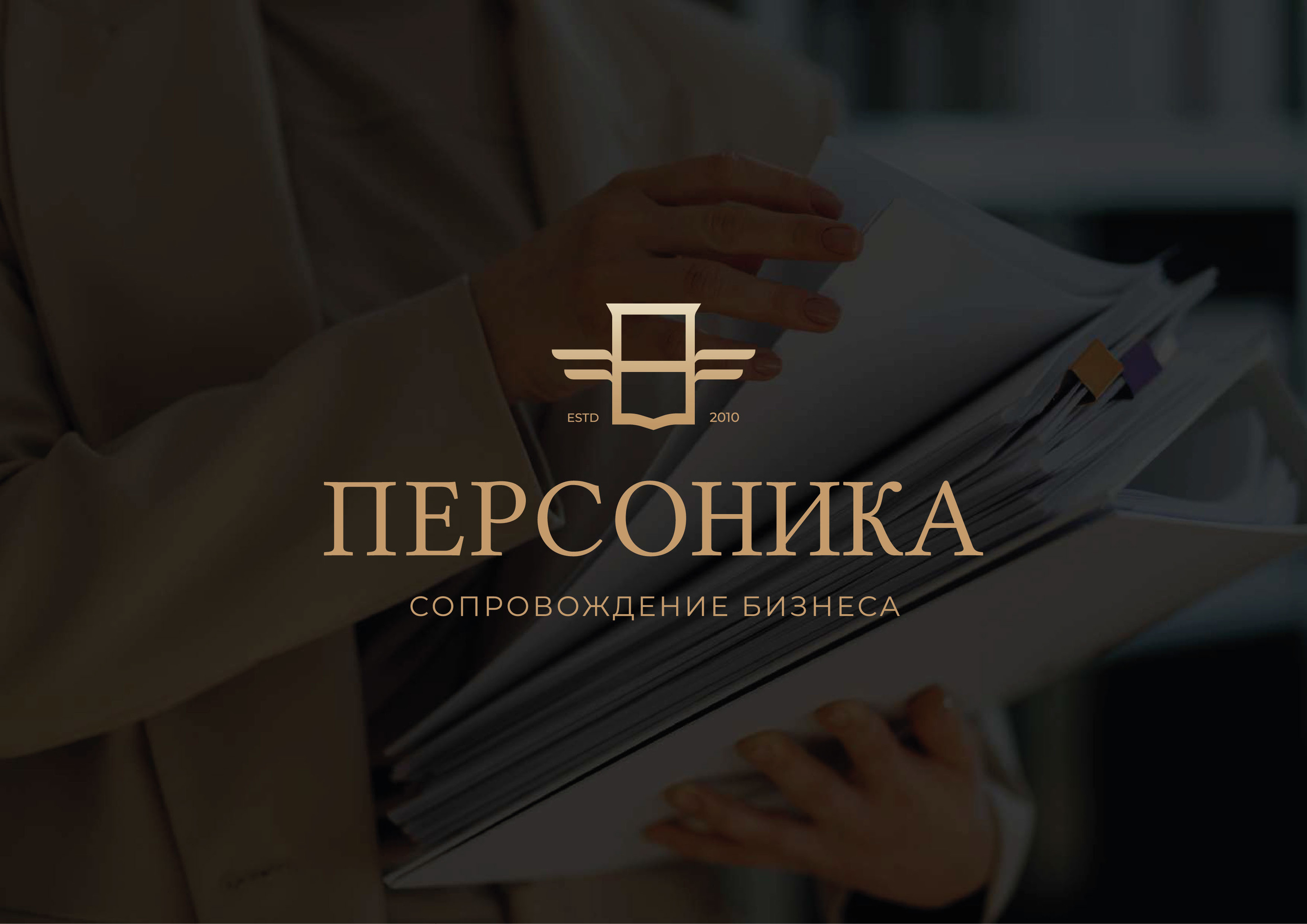 Сопровождение бизнеса — Изображение №1 — Брендинг на Dprofile