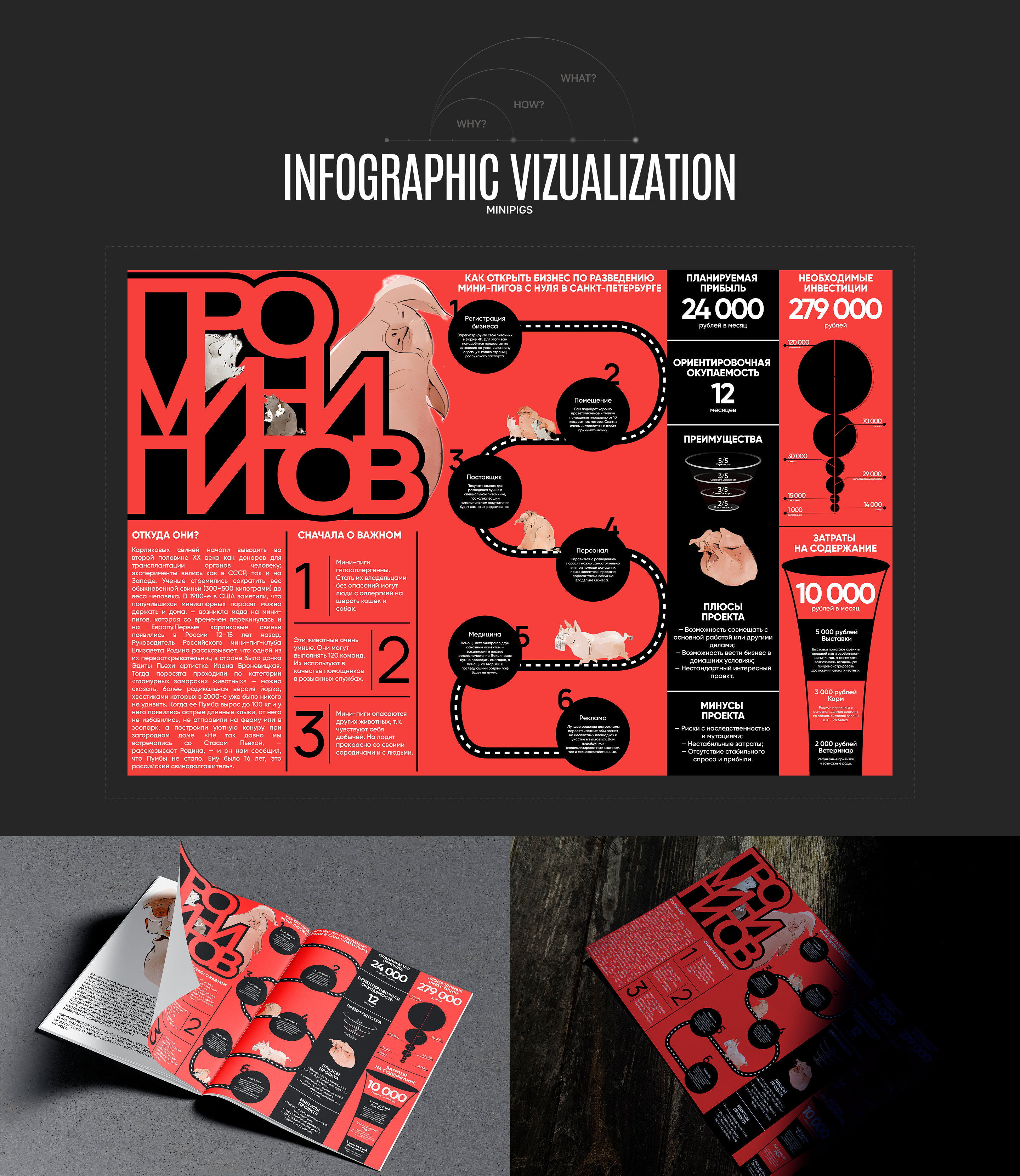 Infographic design — Изображение №4 — Графика на Dprofile
